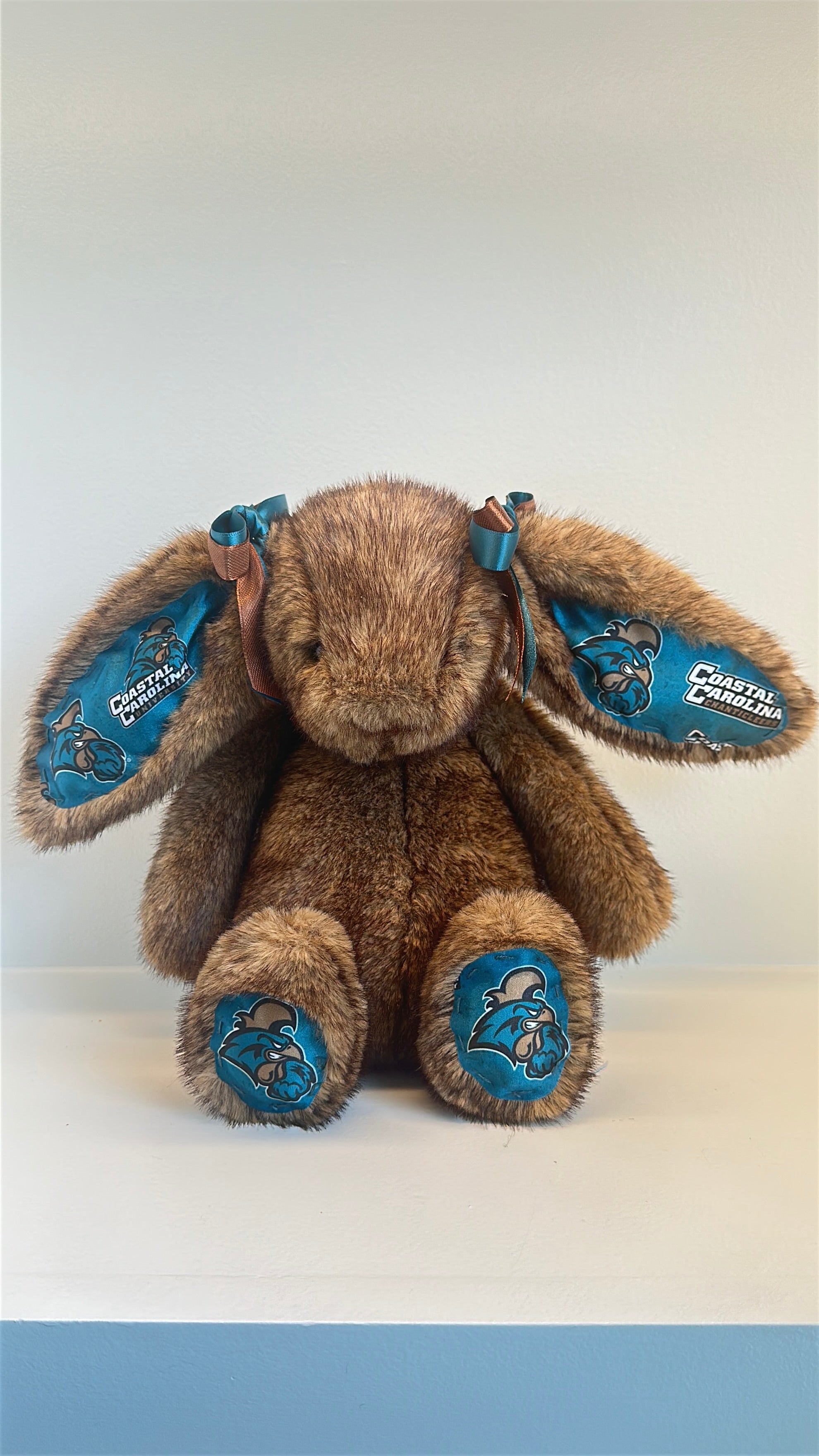 Coastal Carolina University College Jellycat Bunny