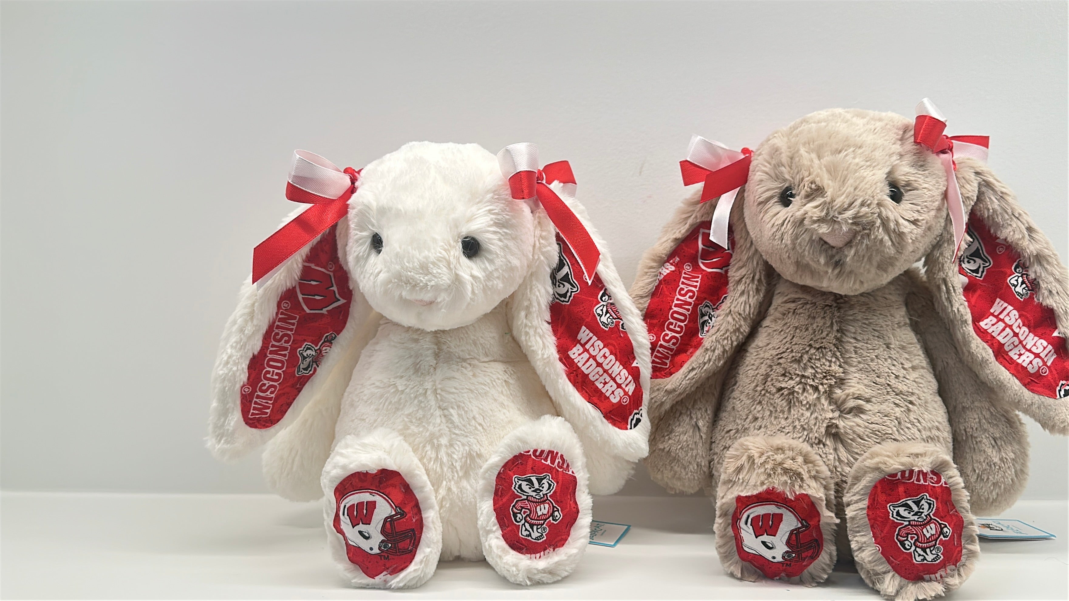 University of Wisconsin Custom College Jellycat Bashful Bunny