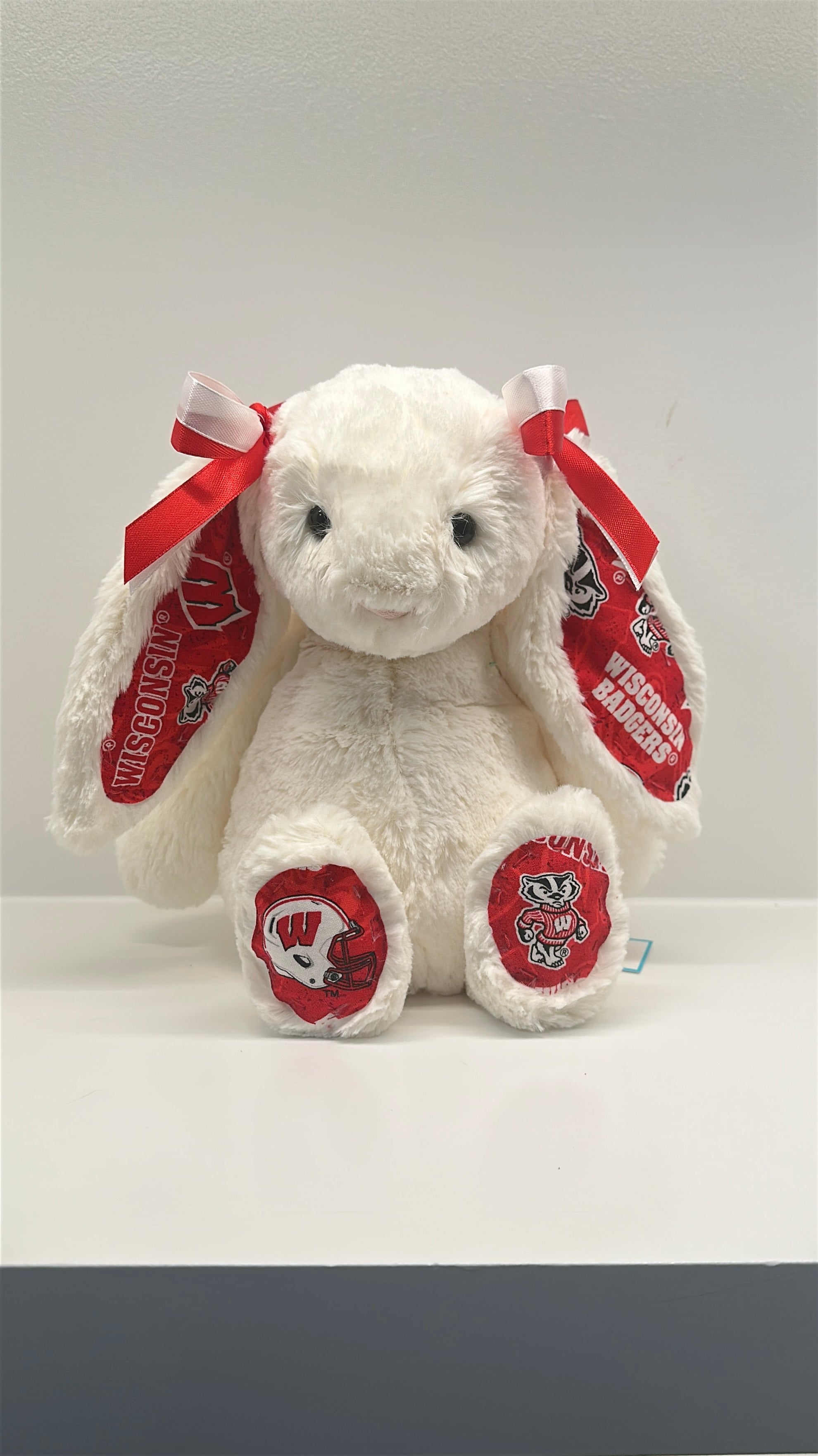 University of Wisconsin Custom College Jellycat Bashful Bunny