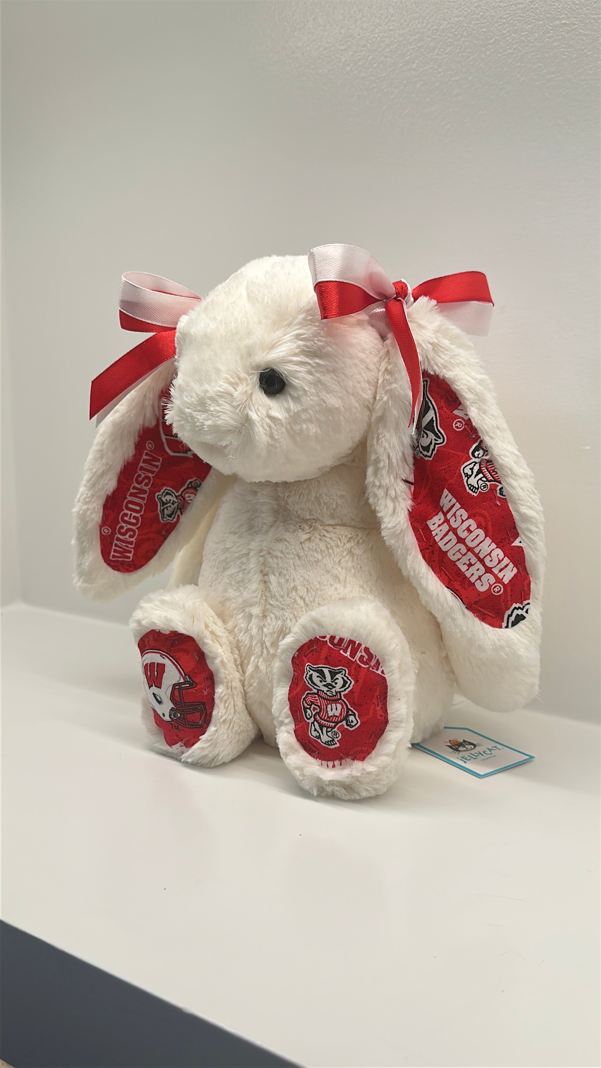 University of Wisconsin Custom College Jellycat Bashful Bunny