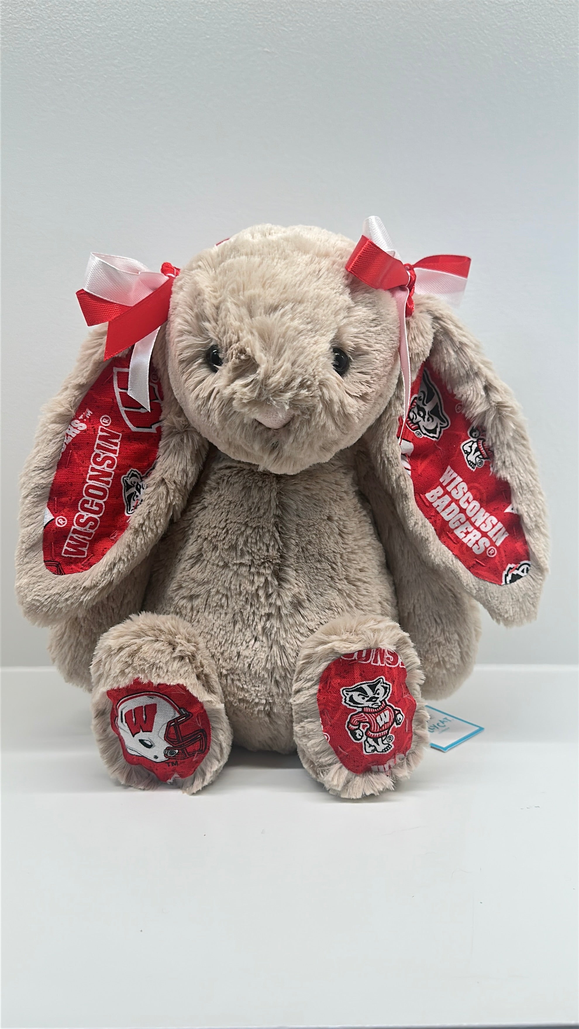 University of Wisconsin Custom College Jellycat Bashful Bunny