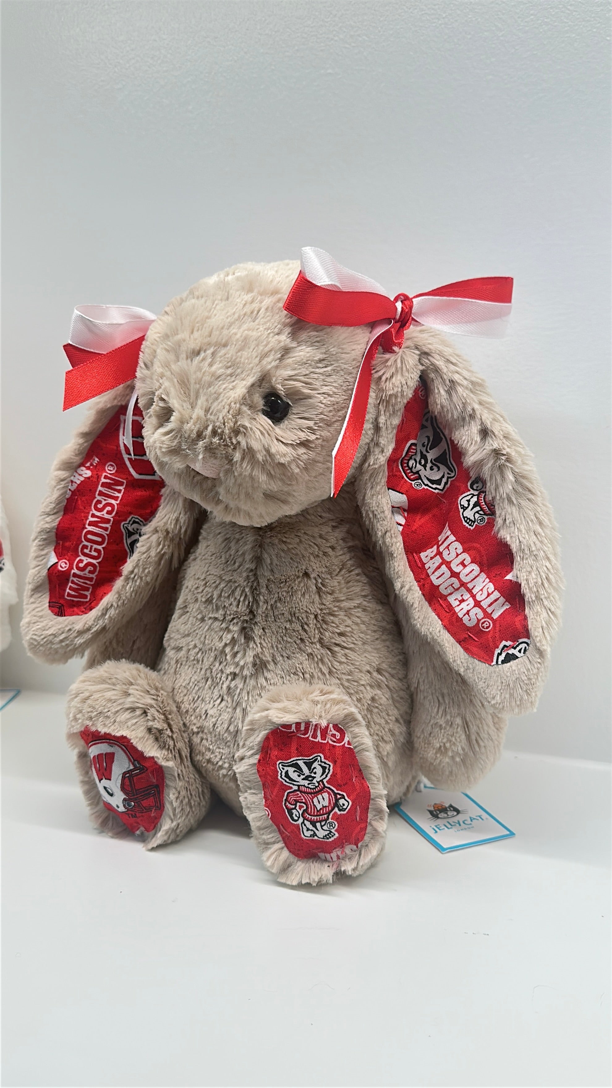 University of Wisconsin Custom College Jellycat Bashful Bunny