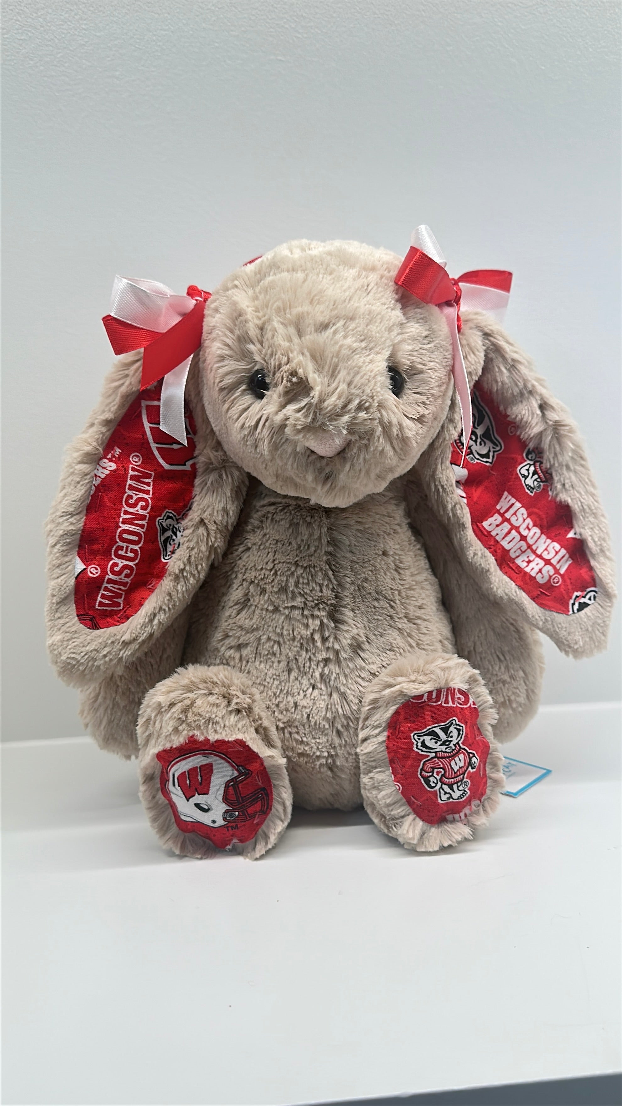 University of Wisconsin Custom College Jellycat Bashful Bunny