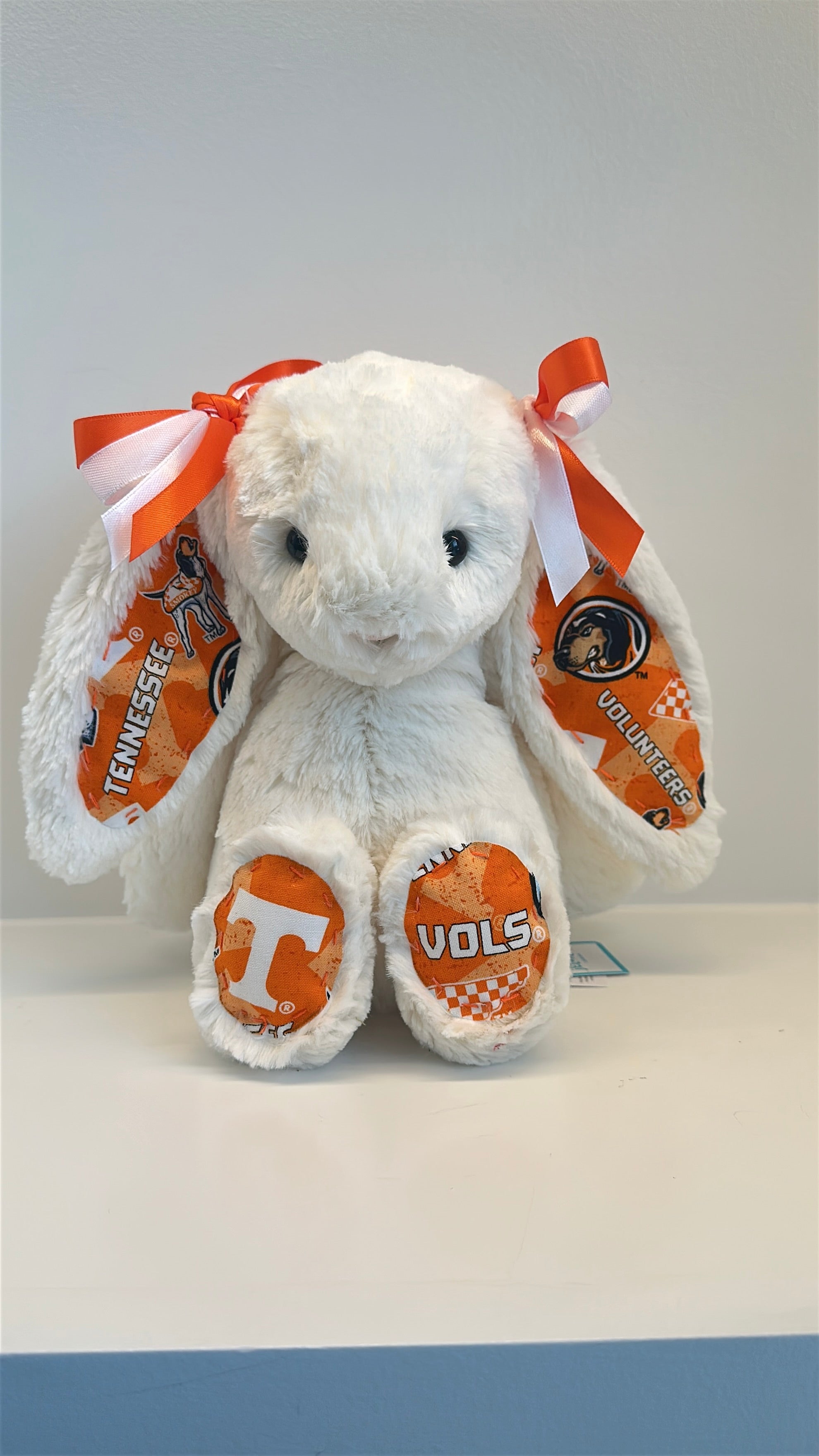 University of Tennessee Custom College Jellycat Bashful Bunny