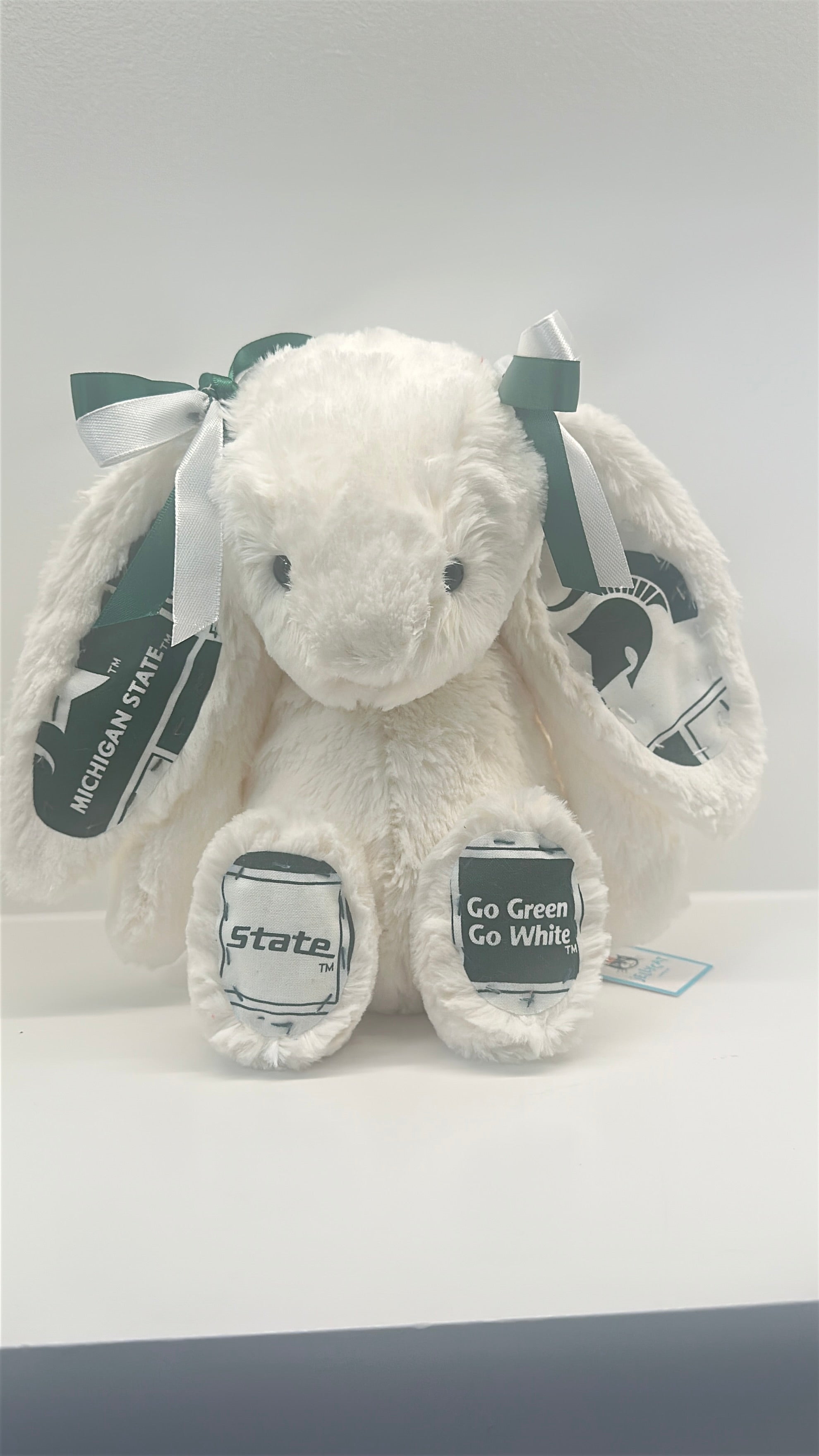 Michigan State University Custom College Jellycat Bashful Bunny