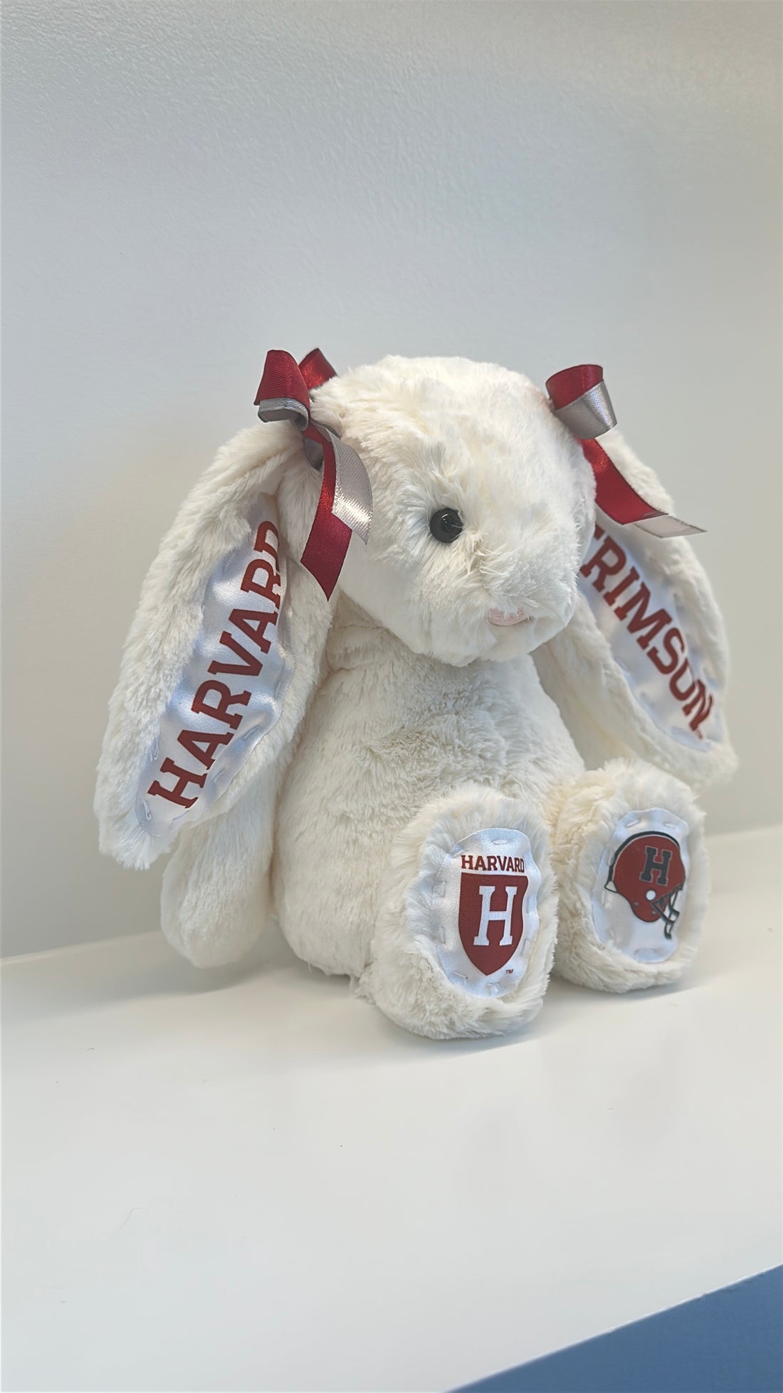 Harvard University Fully Custom Jellycat Bunny