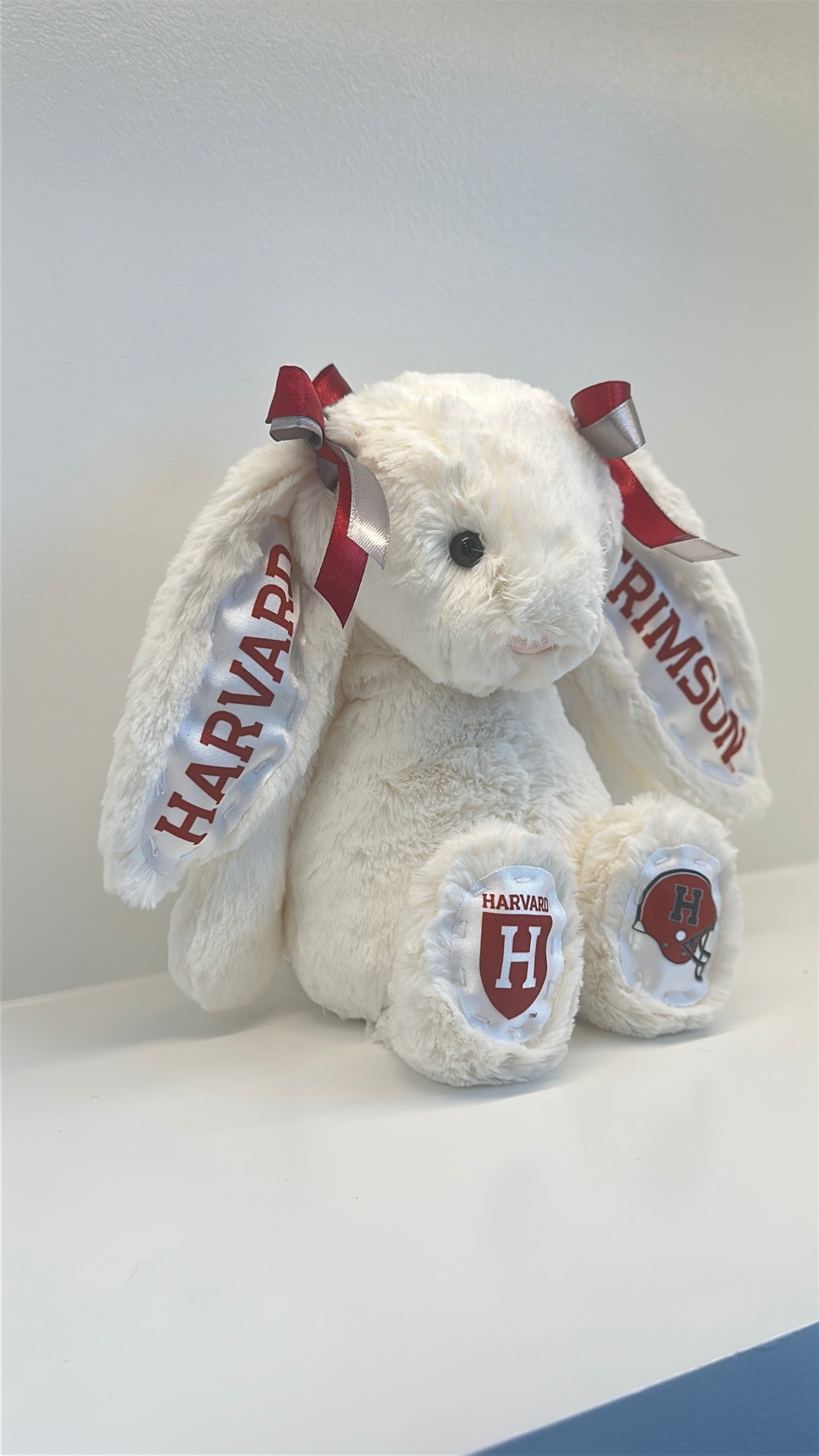 Harvard University Fully Custom Jellycat Bunny