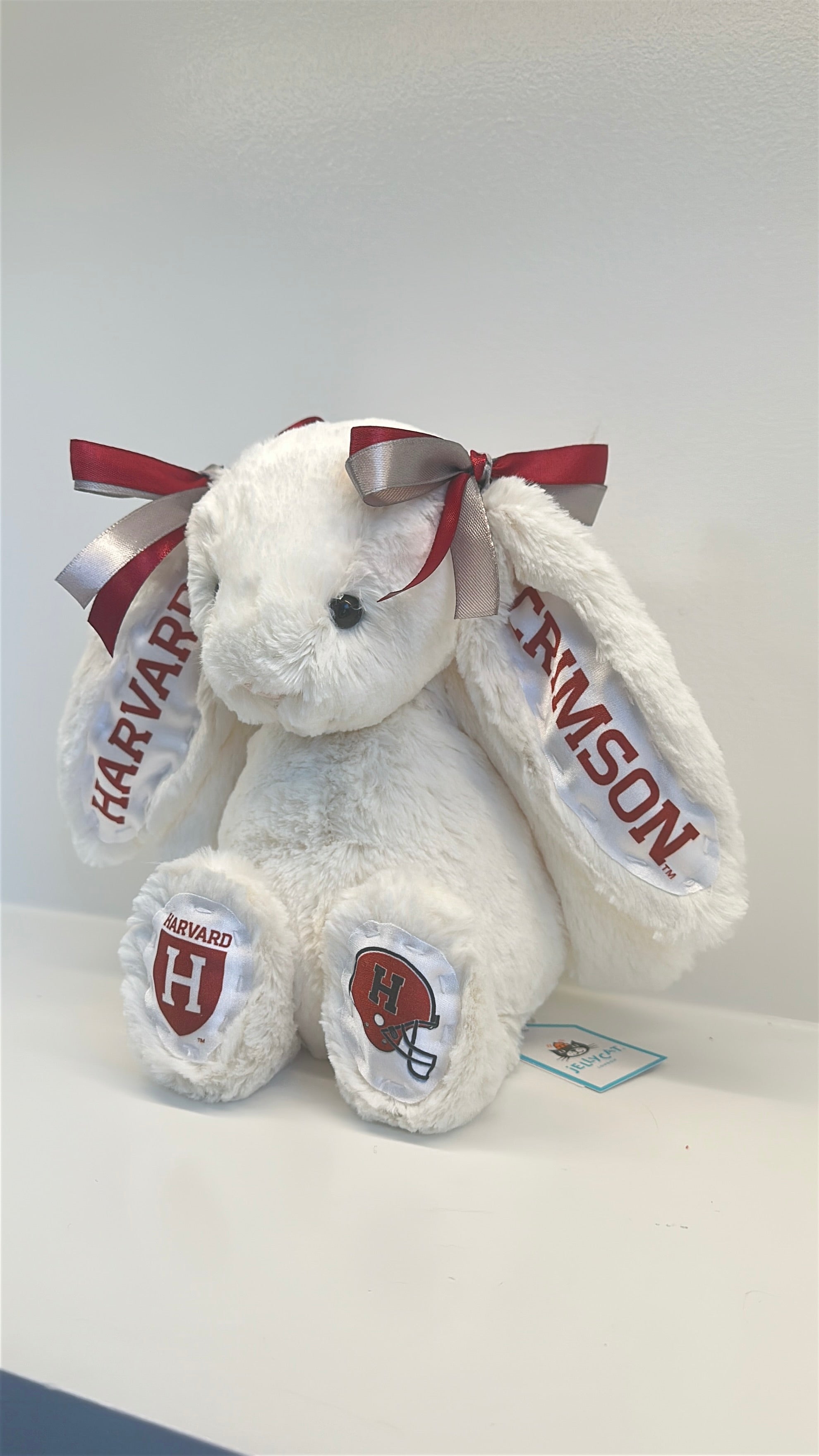 Harvard University Fully Custom Jellycat Bunny