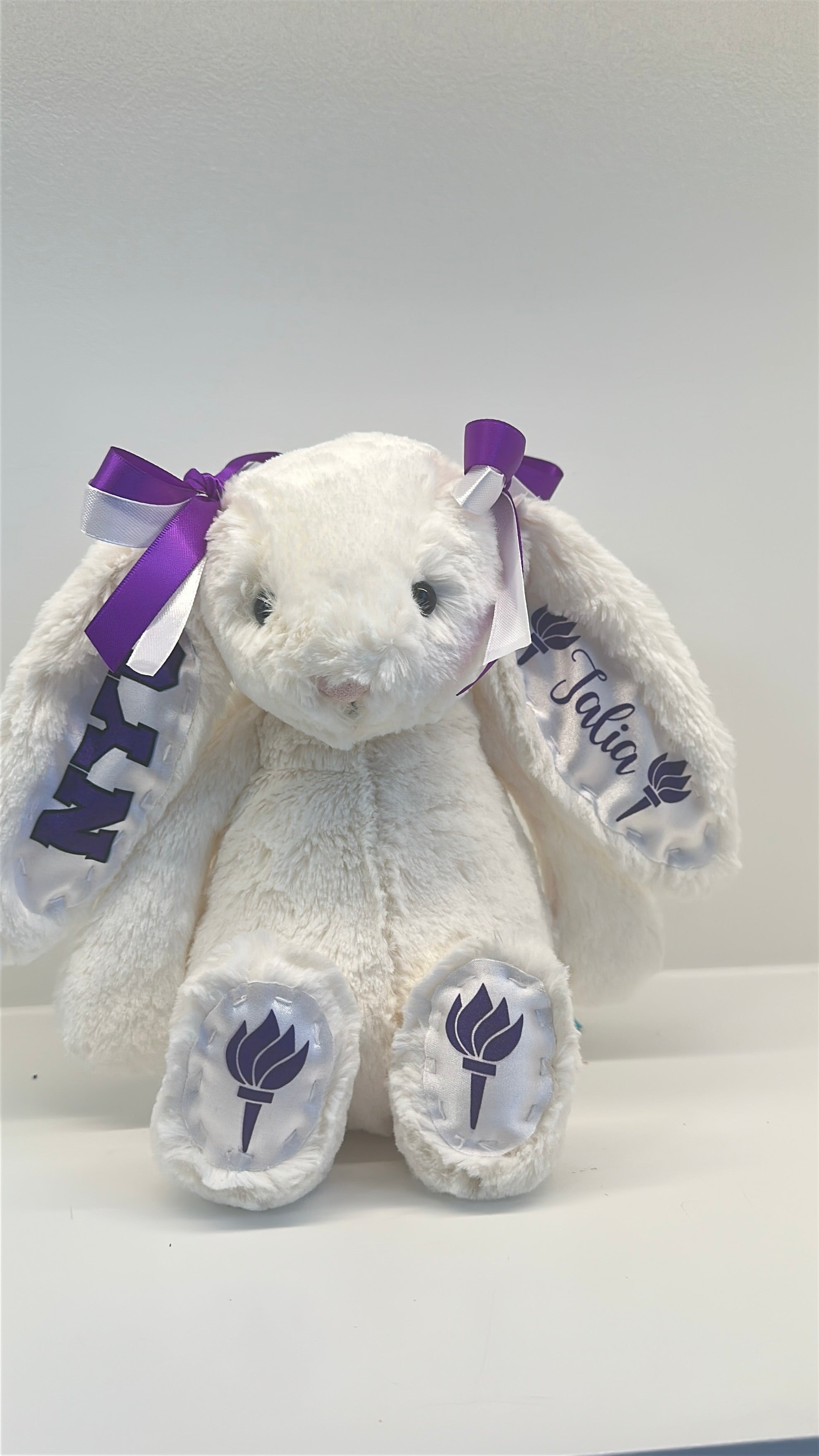 New York University (NYU) Custom College Jellycat Bashful Bunny