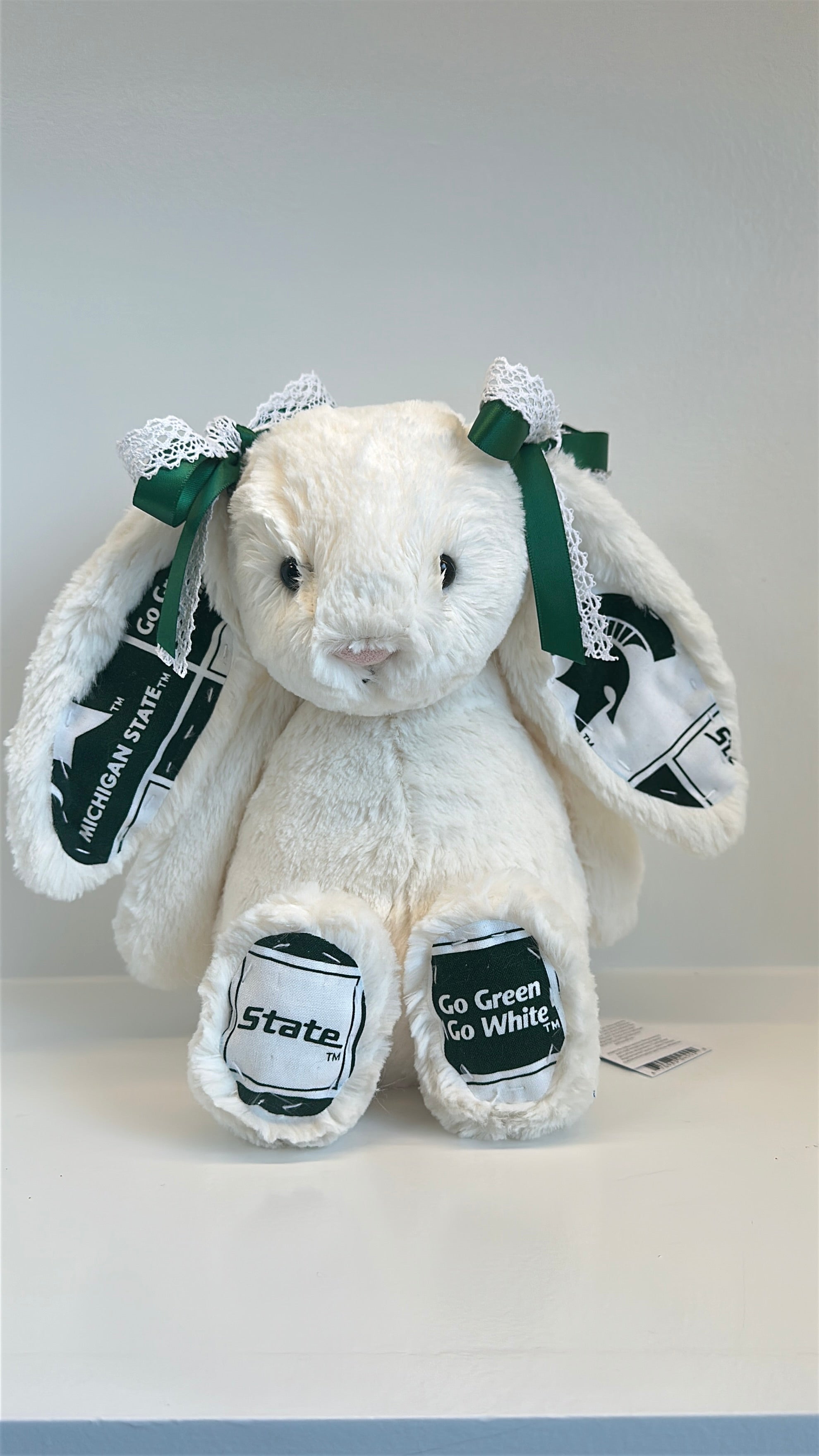 Michigan State University Custom College Jellycat Bashful Bunny