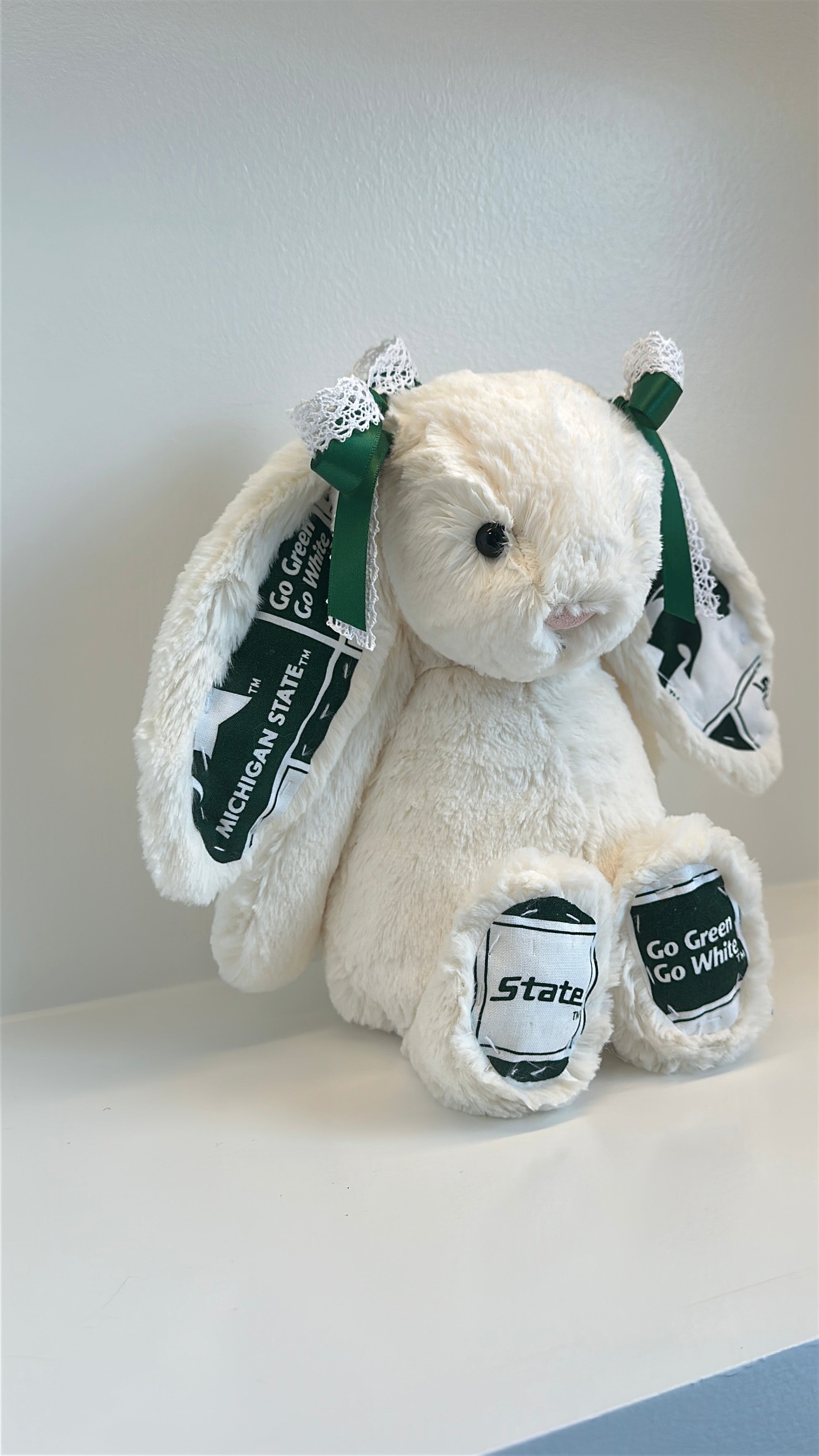 Michigan State University Custom College Jellycat Bashful Bunny