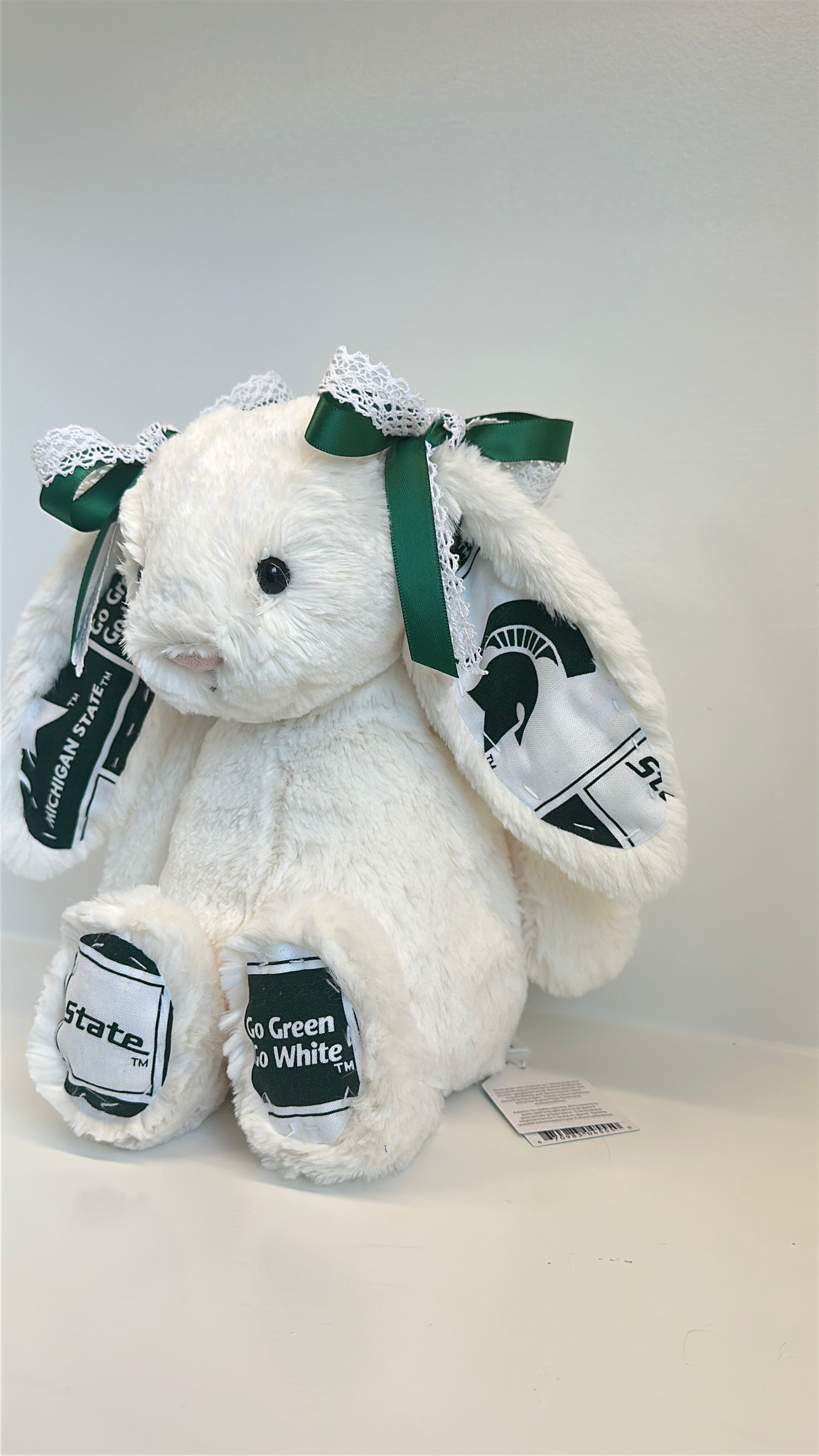 Michigan State University Custom College Jellycat Bashful Bunny