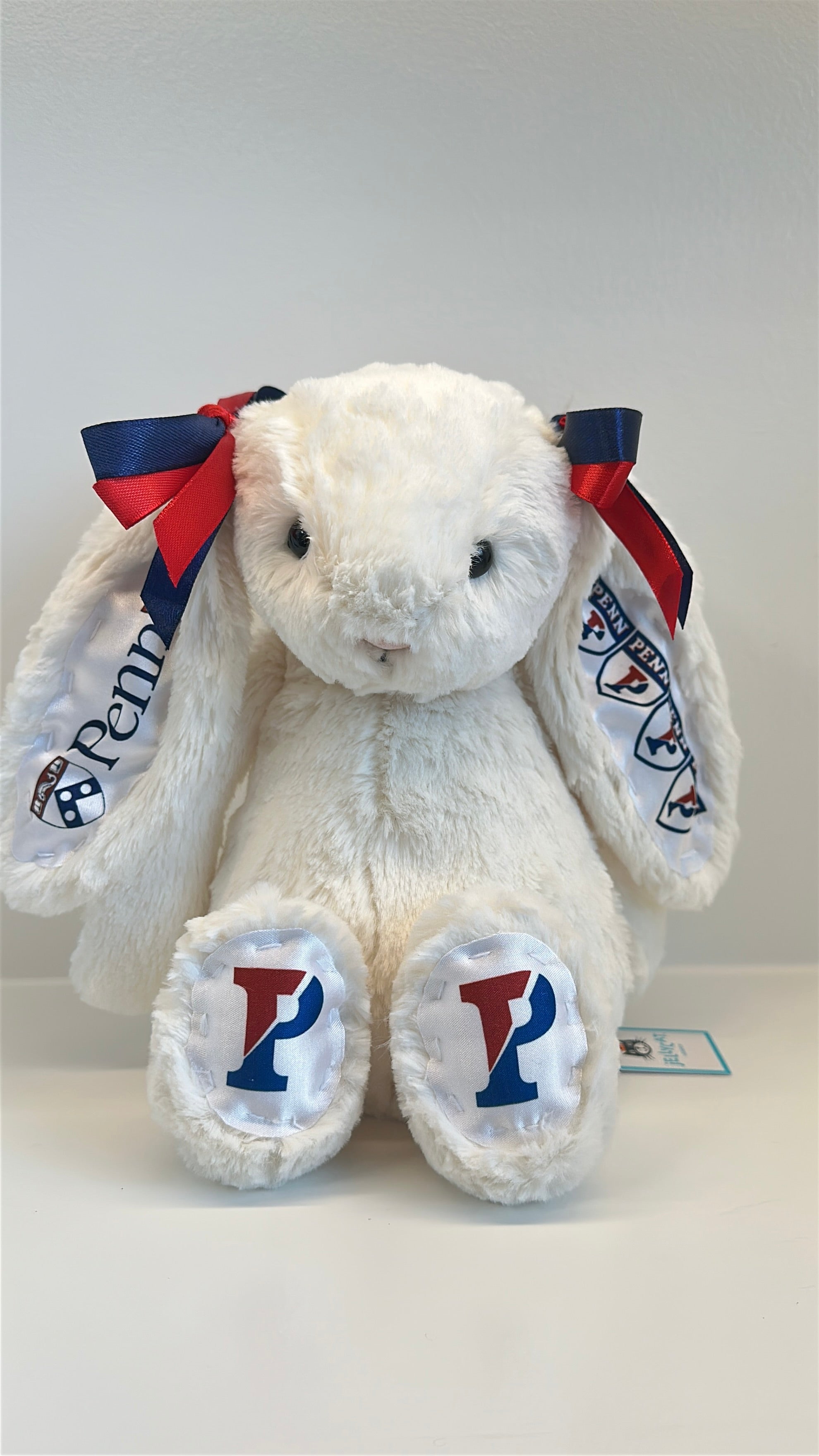 Fully Custom Jellycat Plush