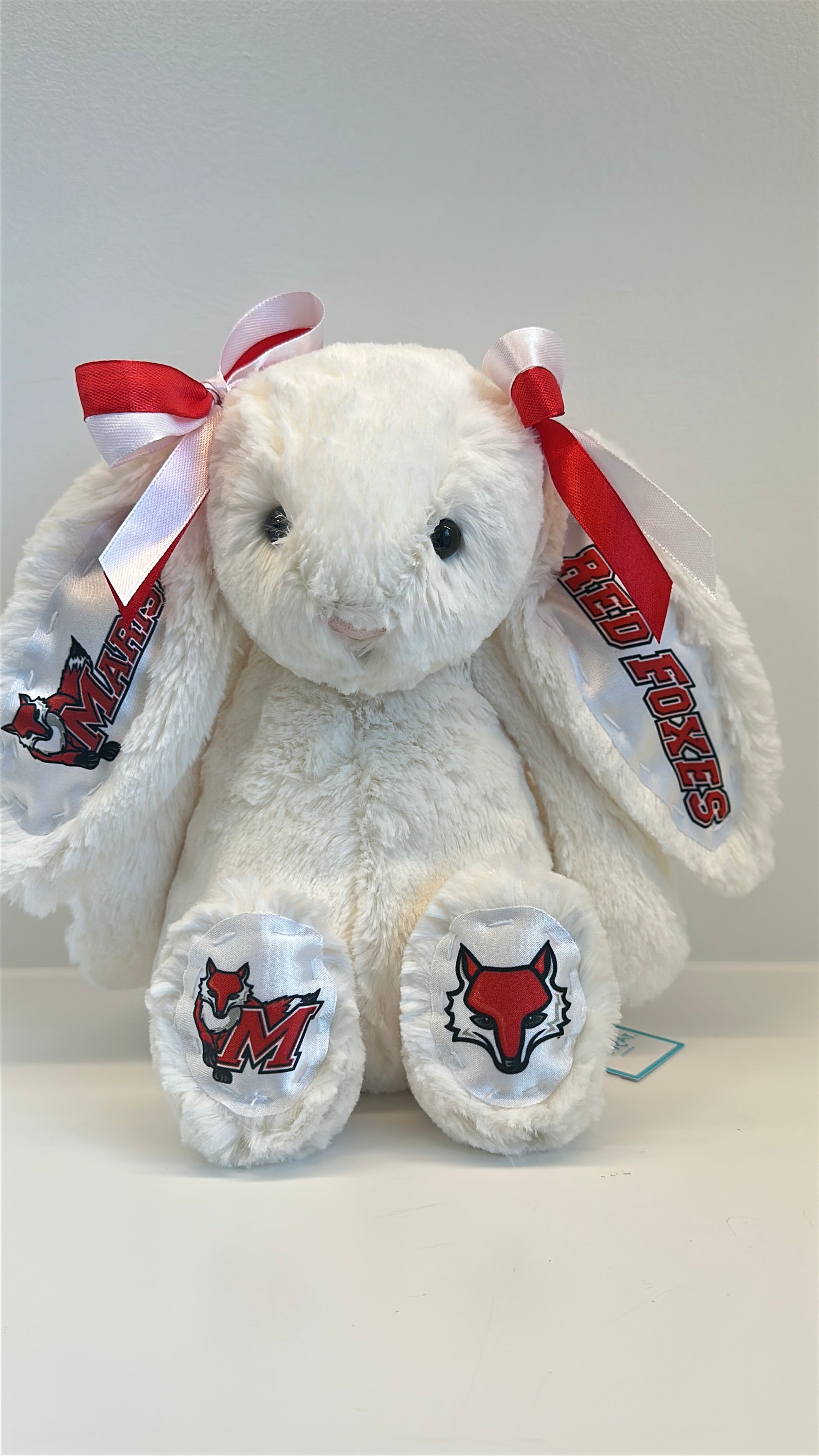 Fully Custom Jellycat Plush