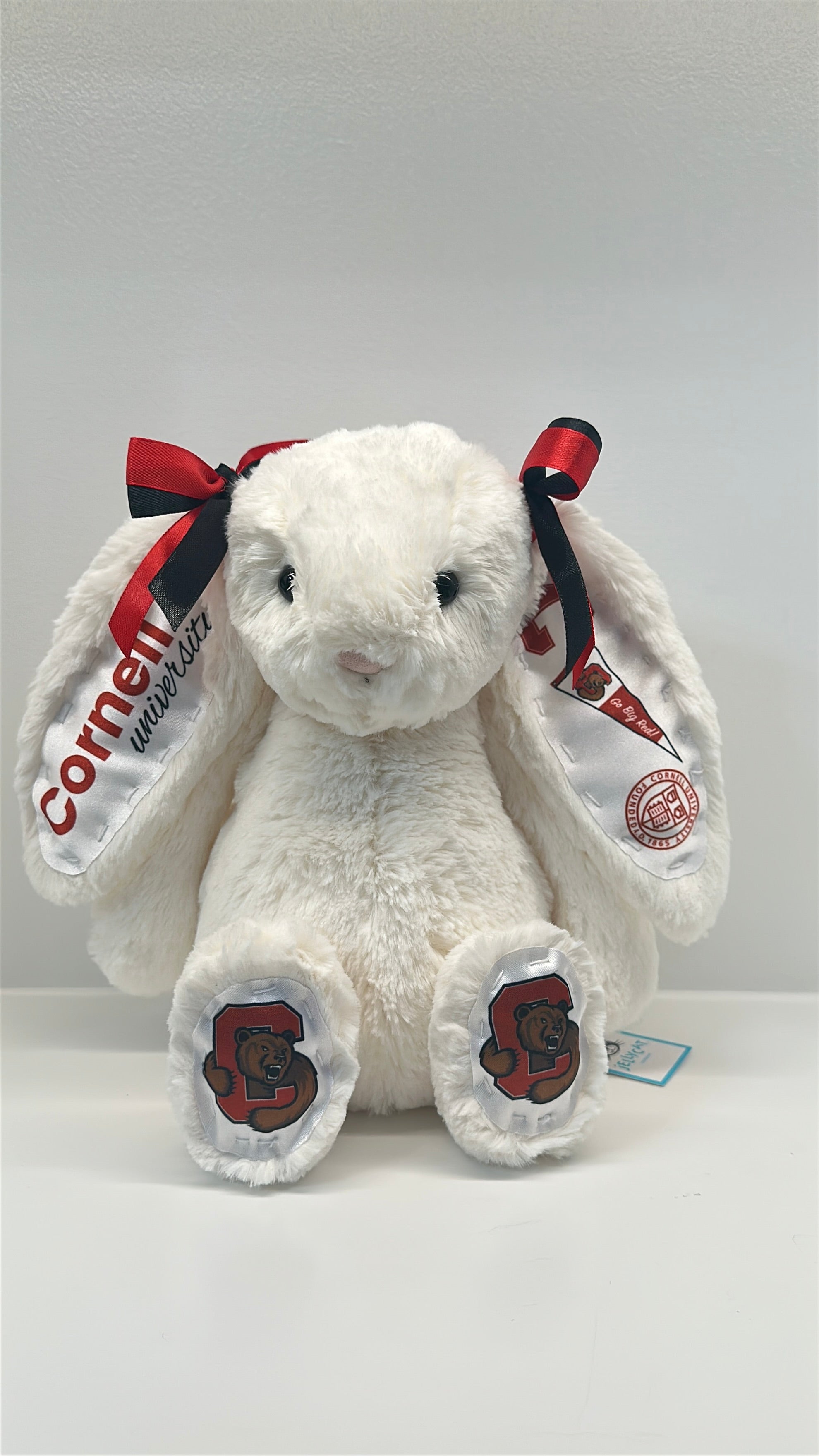 Fully Custom Jellycat Plush