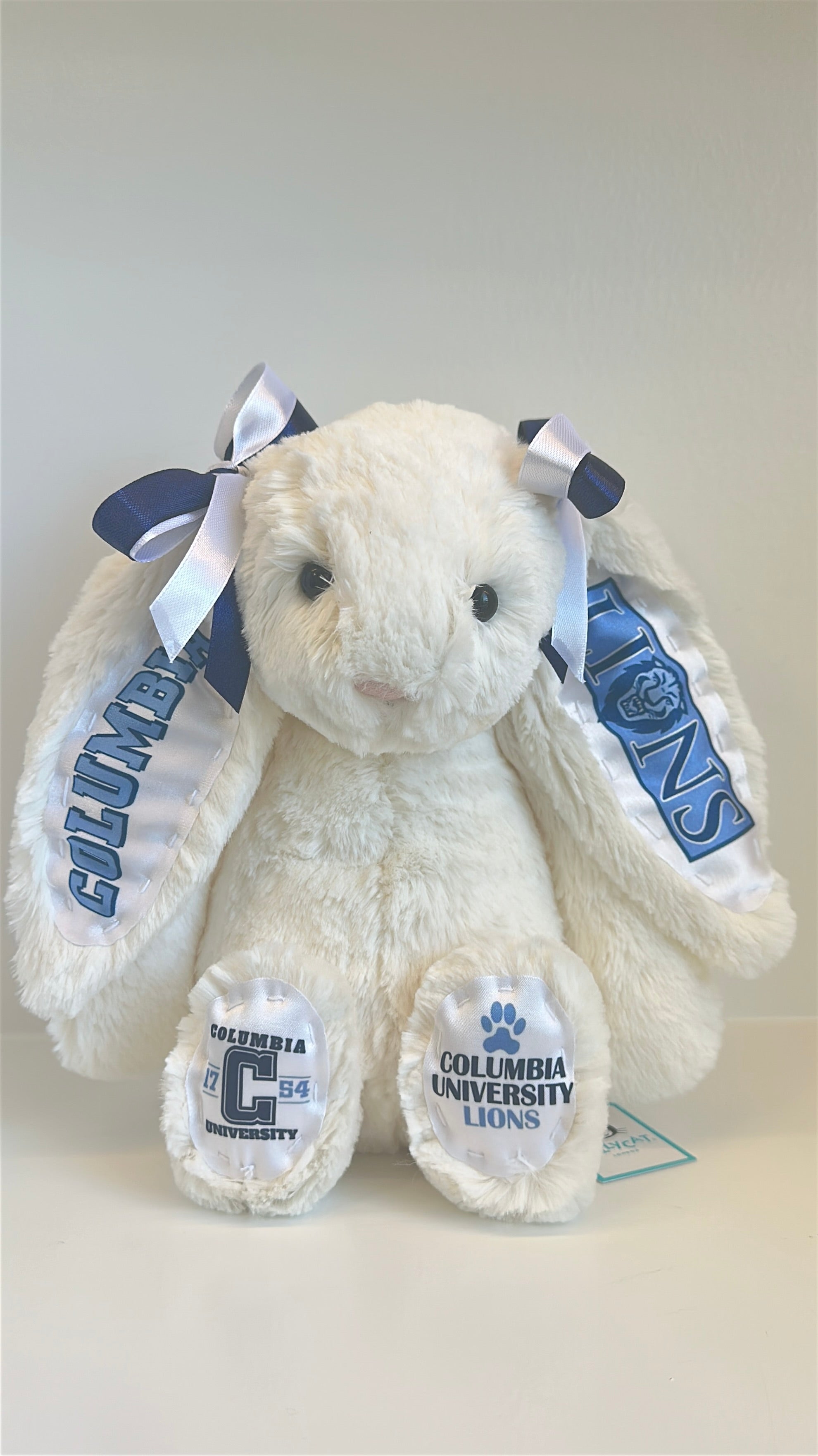 Fully Custom Jellycat Plush