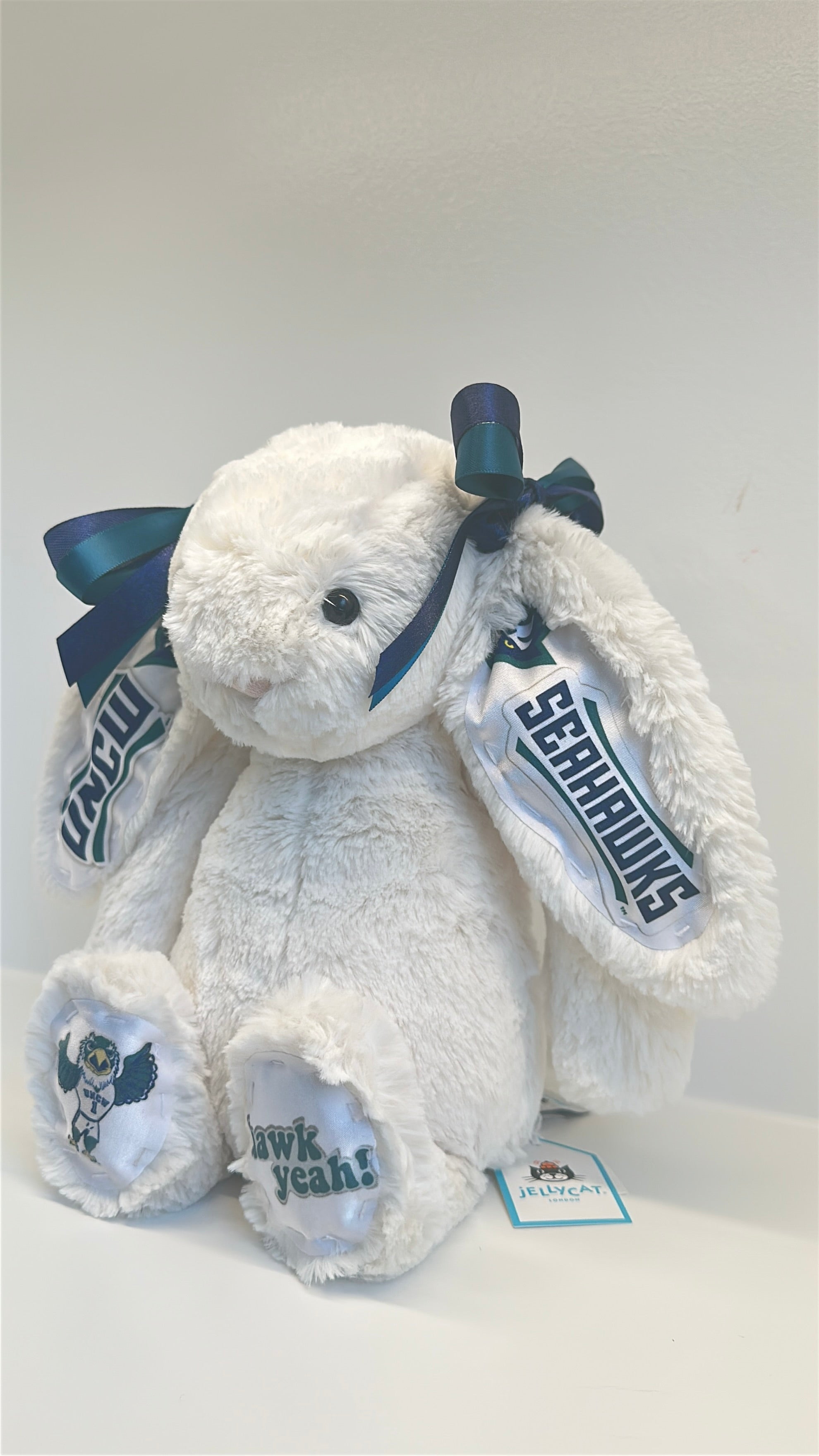 University of North Carolina Wilmington (UNCW) Custom College Jellycat Bashful Bunny