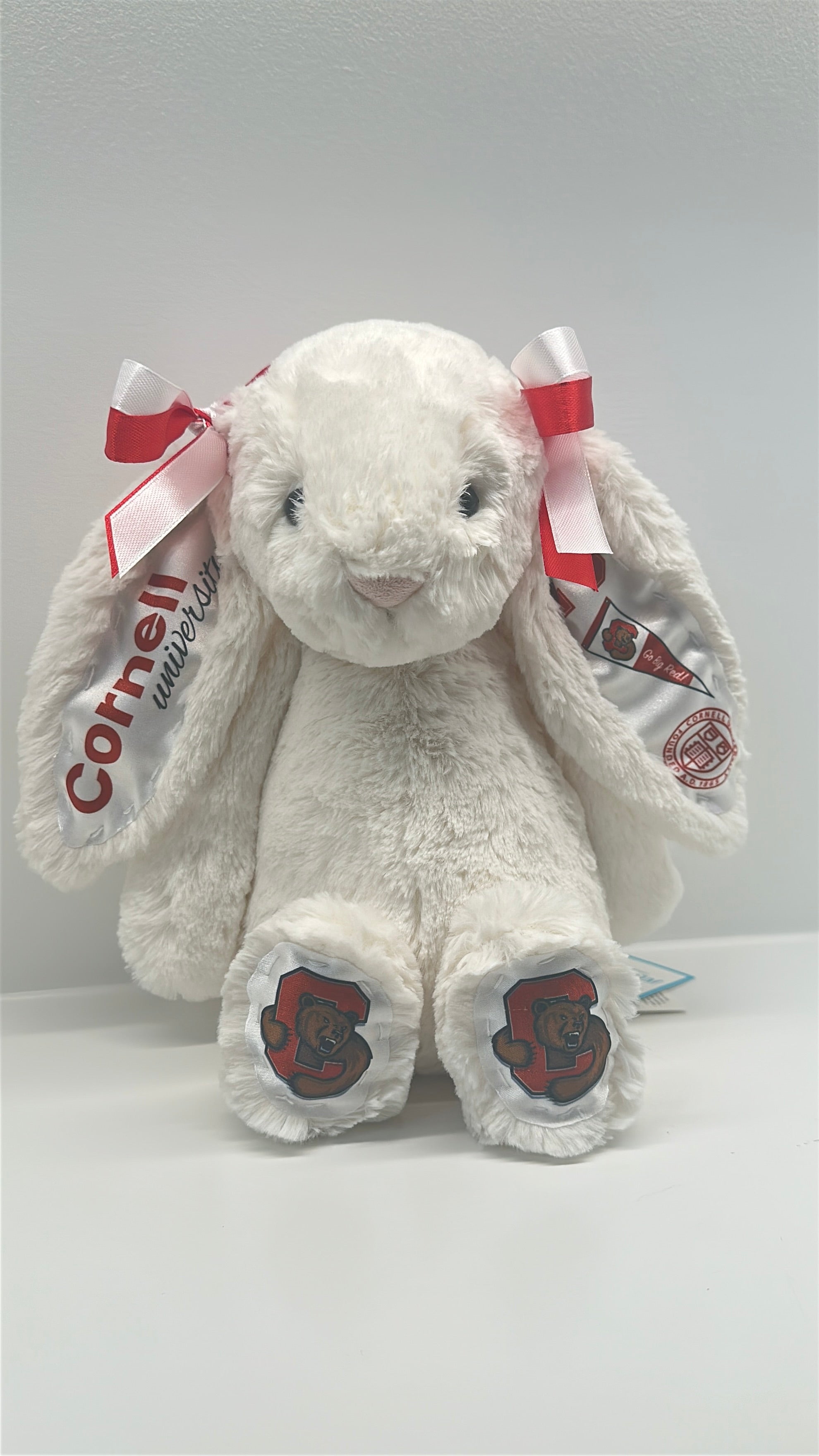 Fully Custom Jellycat Plush