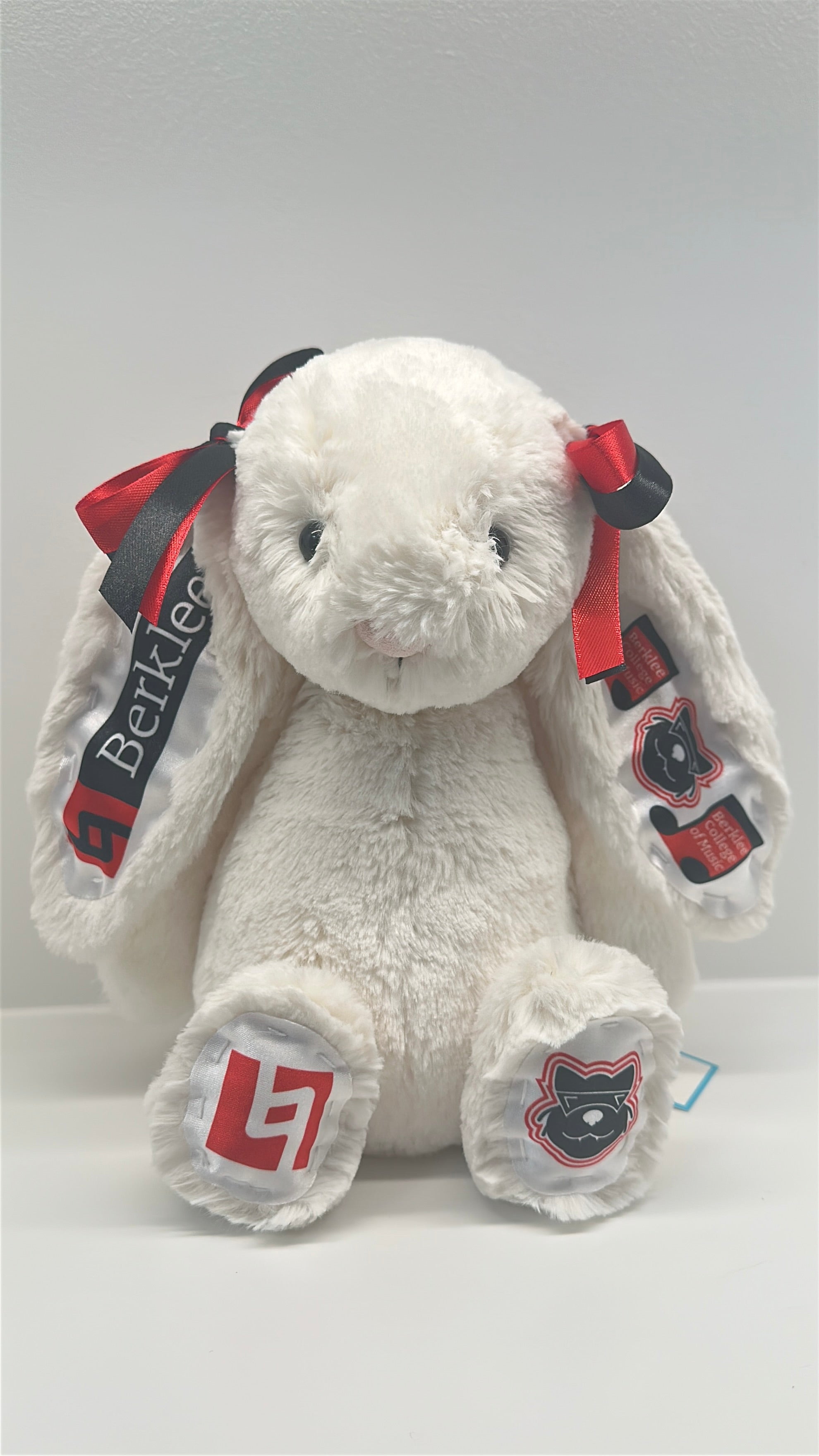 Fully Custom Jellycat Plush