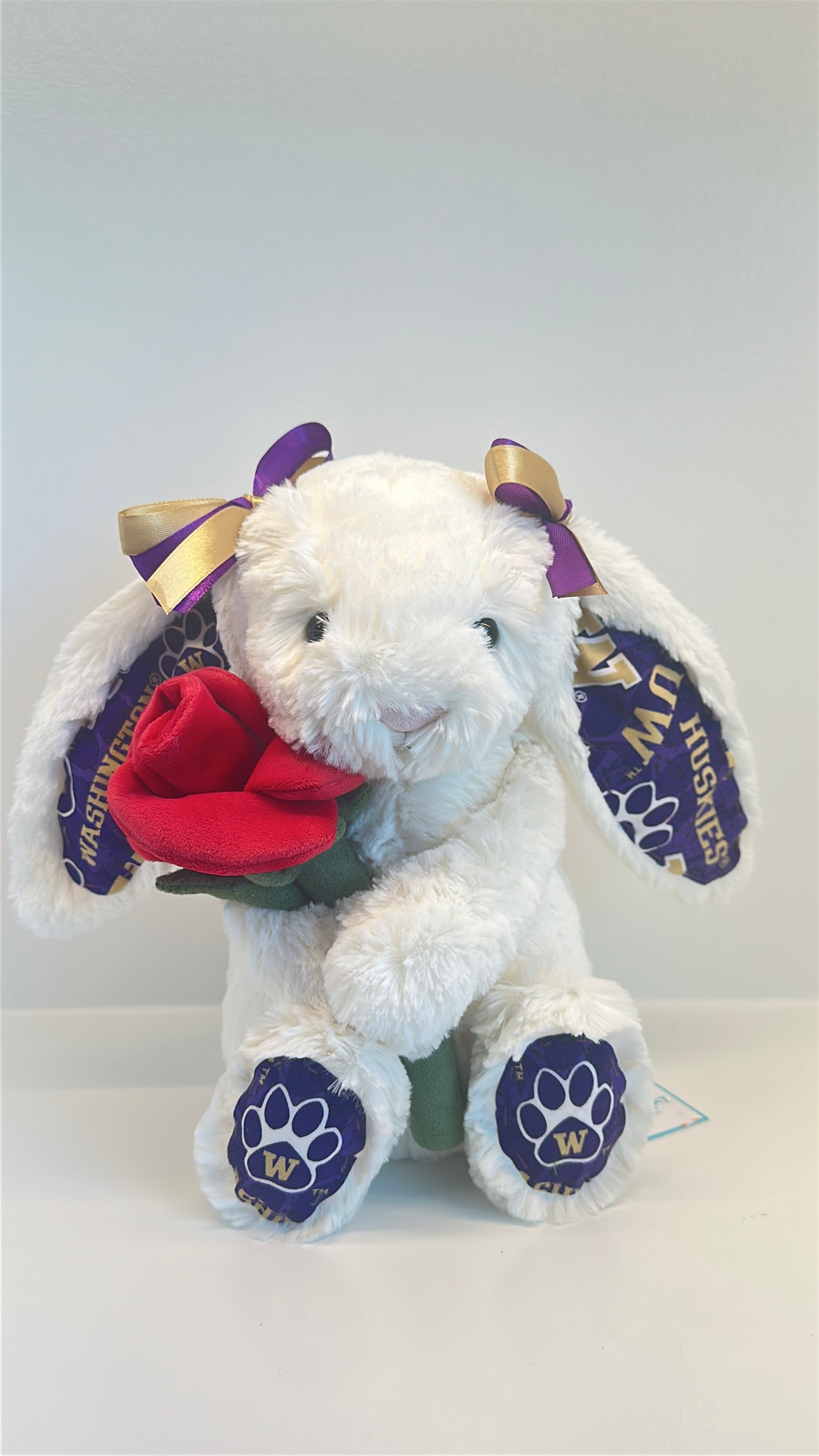 University of Washington College Jellycat Bunny