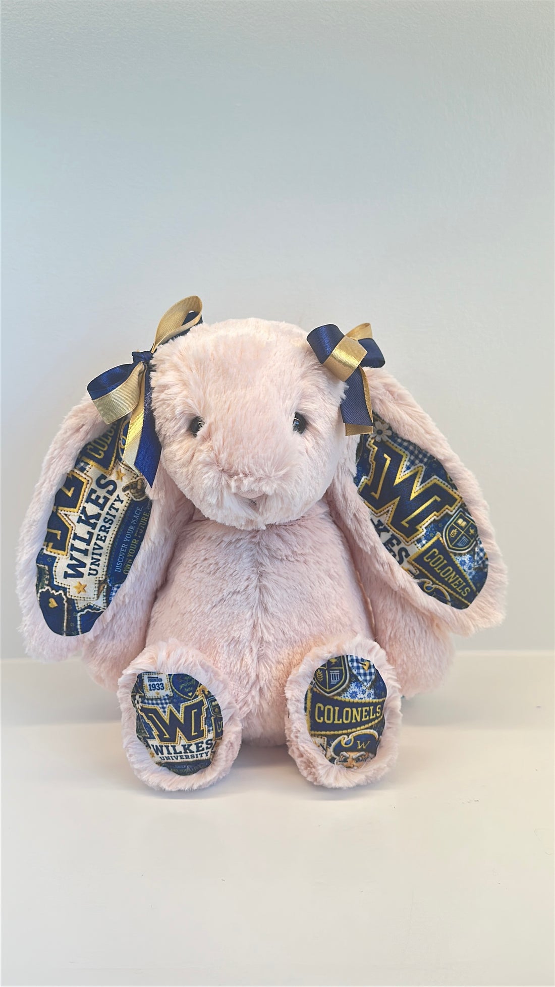 Wilkes University Fully Custom College Jellycat Bunny