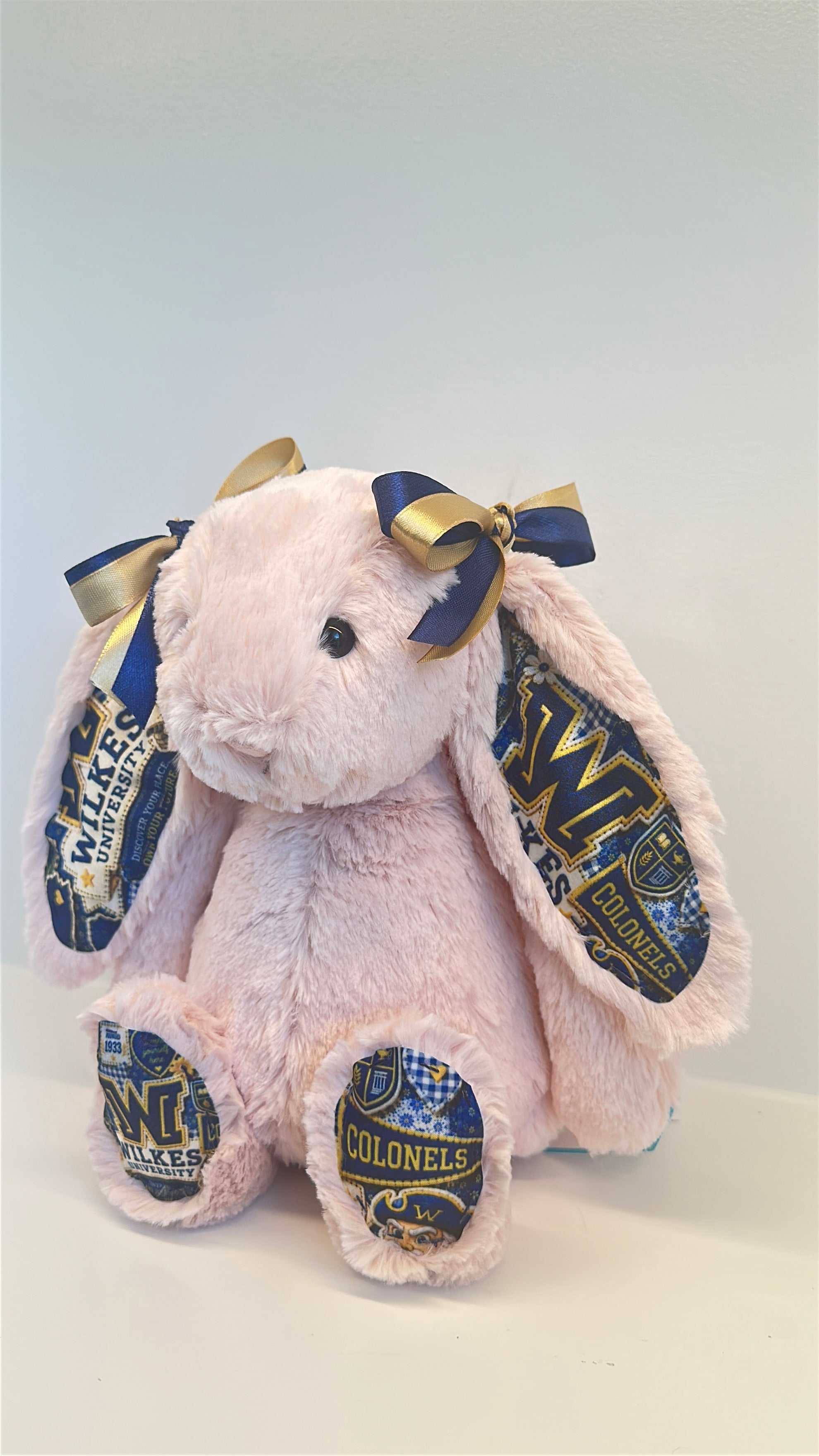Wilkes University Fully Custom College Jellycat Bunny