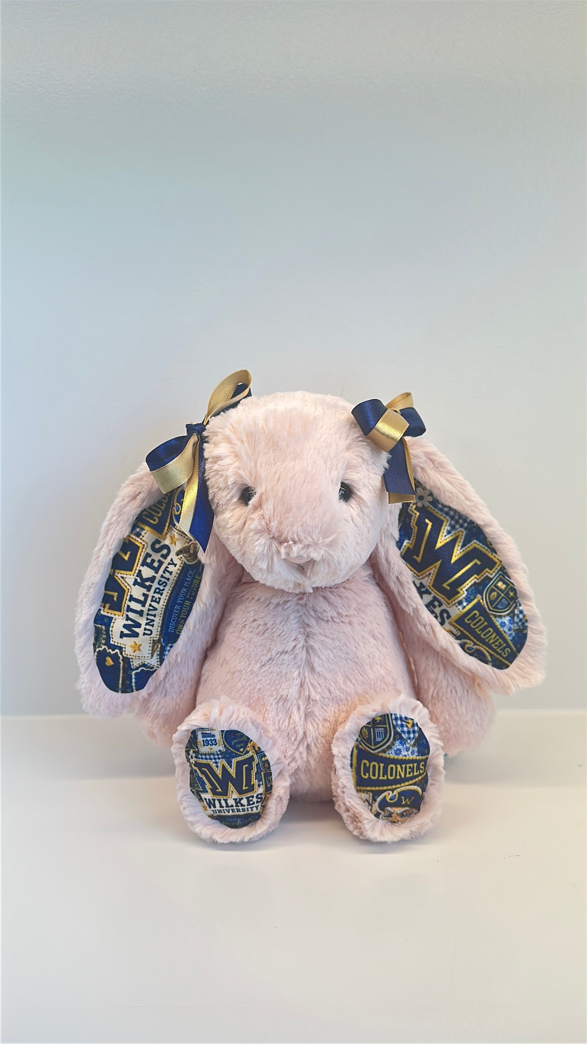 Wilkes University Fully Custom College Jellycat Bunny