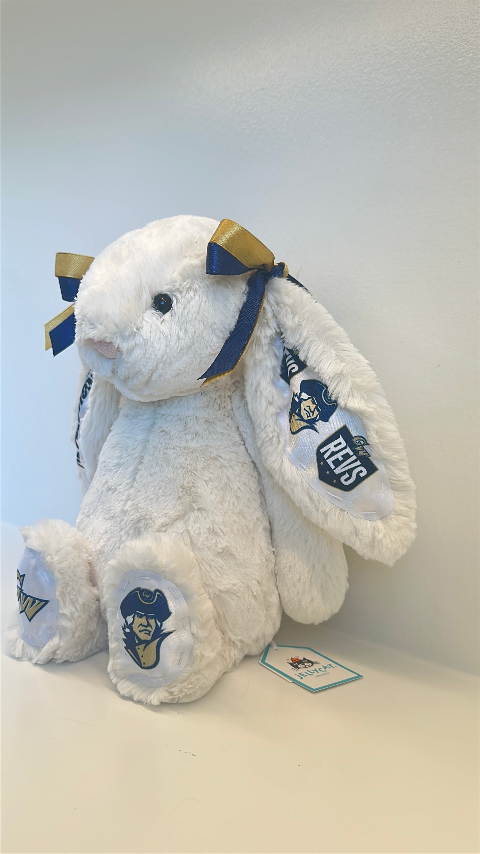 George Washington University Custom College Jellycat Bashful Bunny