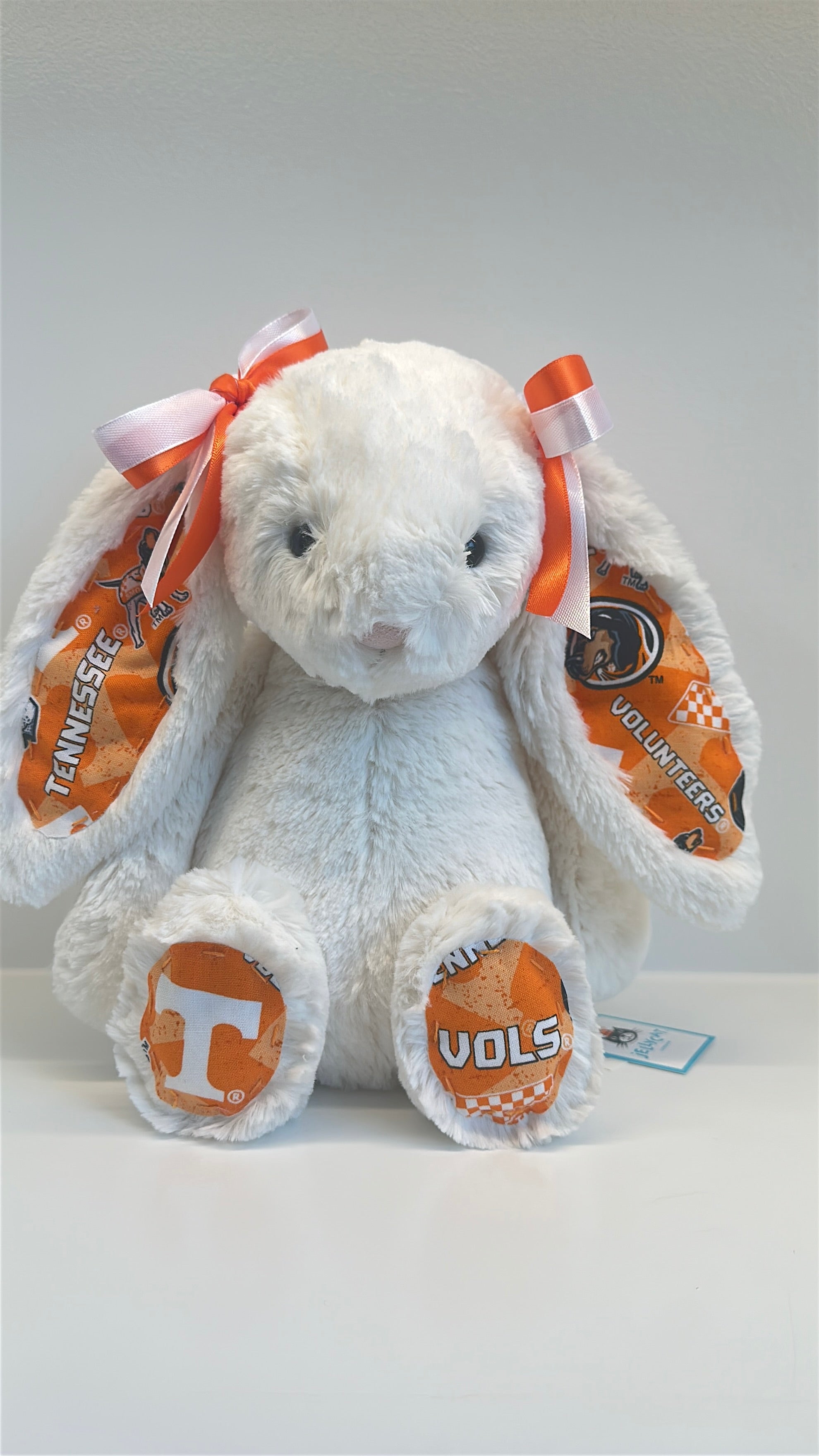 University of Tennessee Custom College Jellycat Bashful Bunny