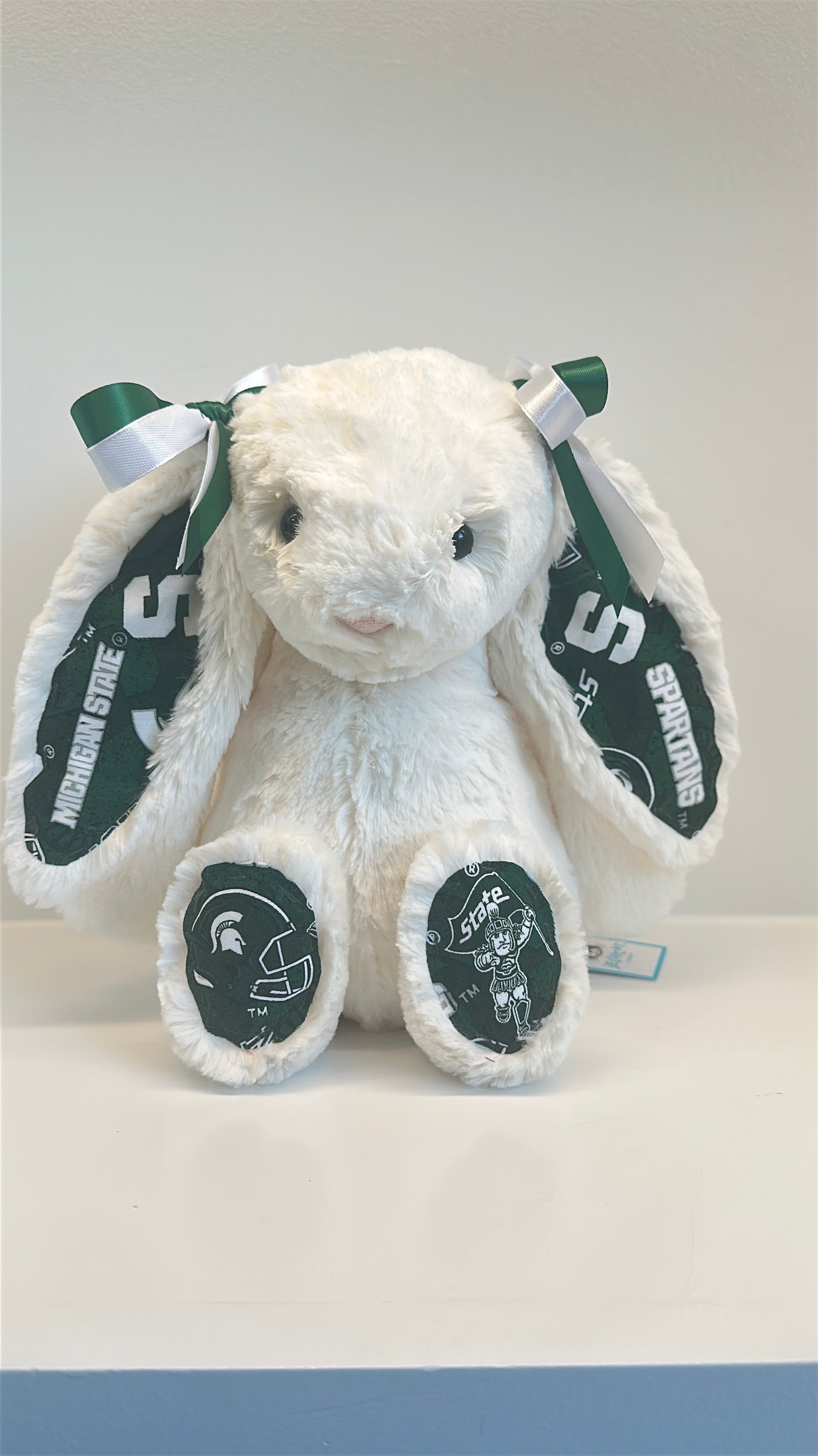 Michigan State University Custom College Jellycat Bashful Bunny
