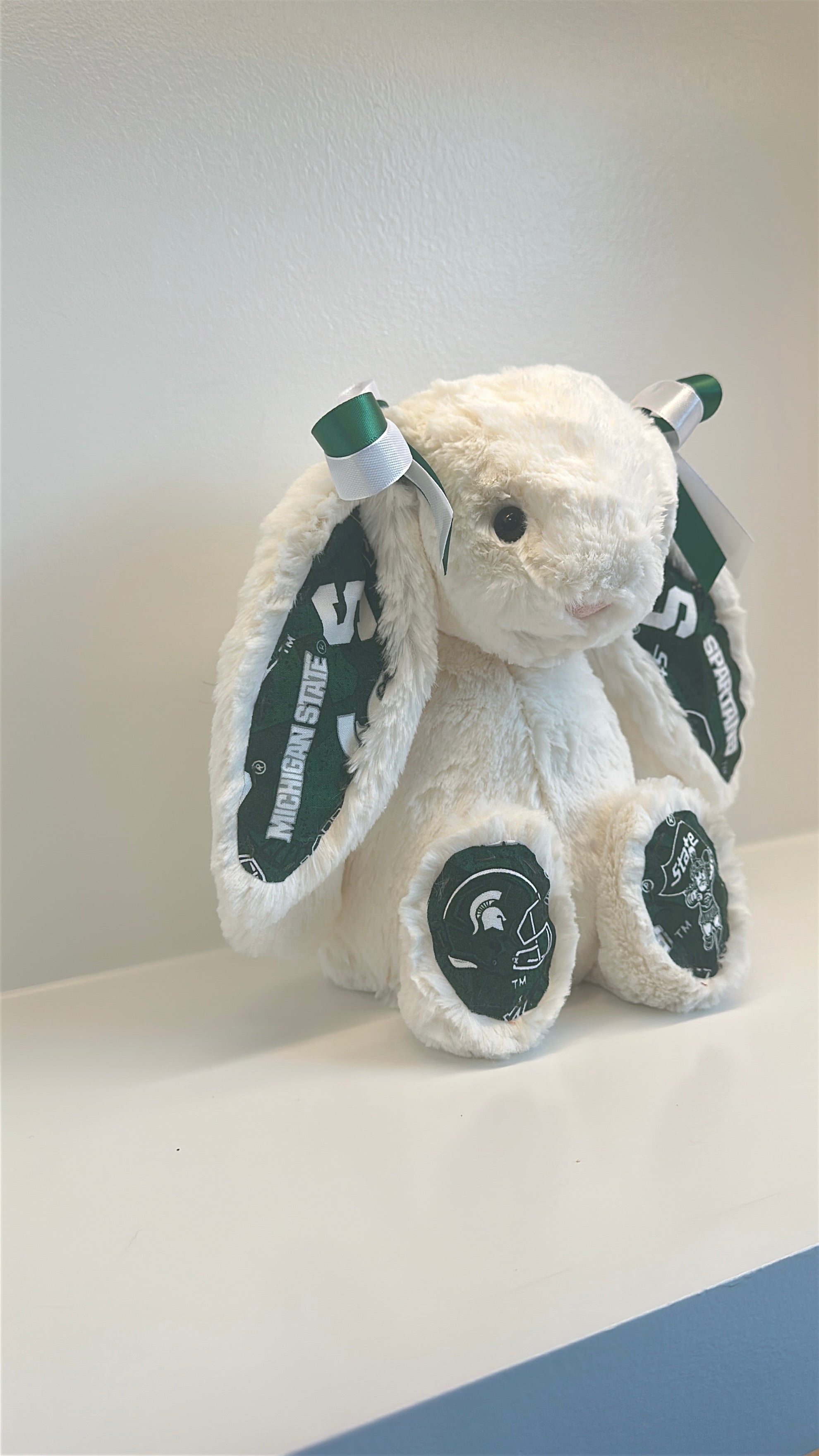 Michigan State University Custom College Jellycat Bashful Bunny
