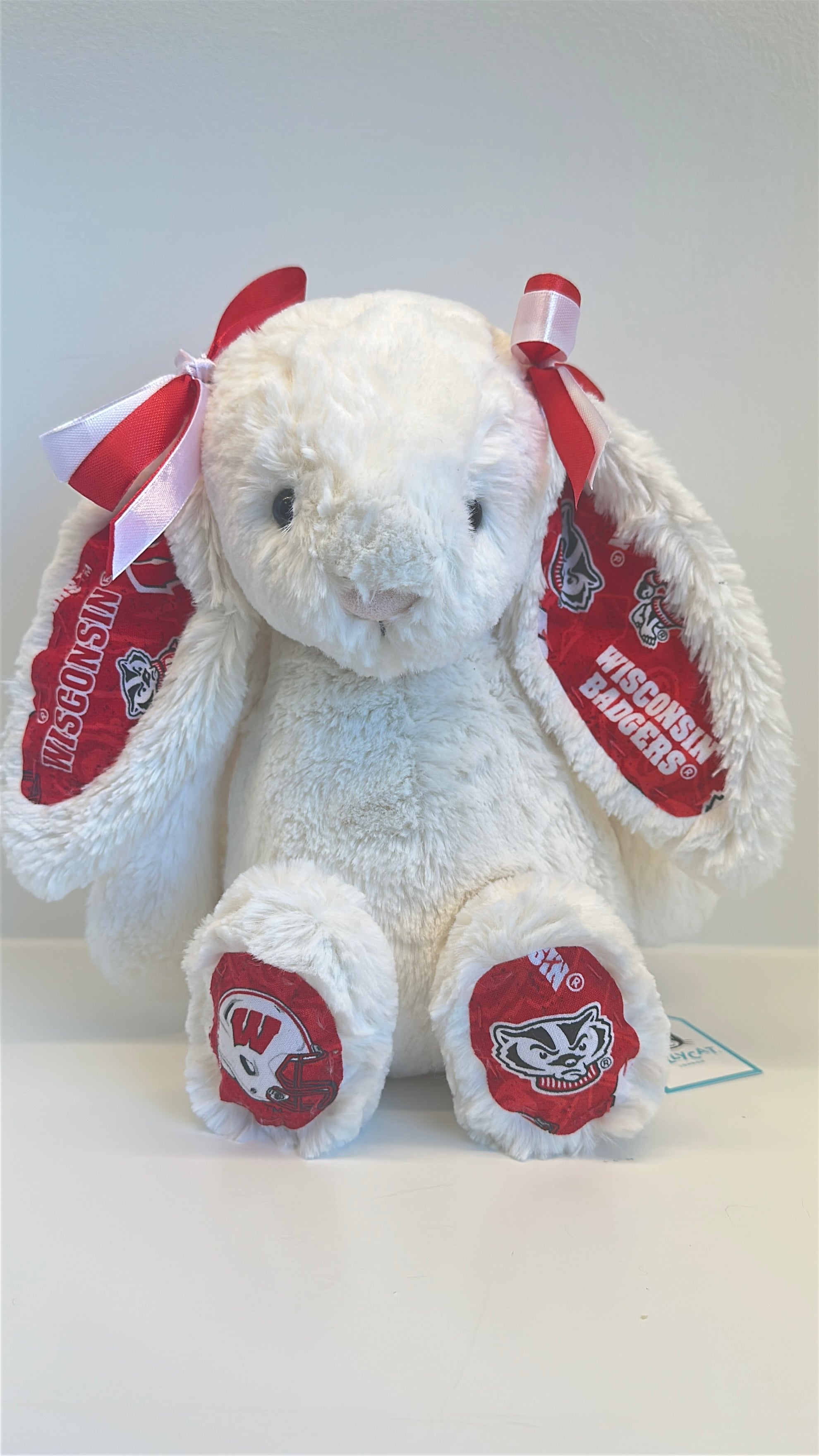 University of Wisconsin Custom College Jellycat Bashful Bunny