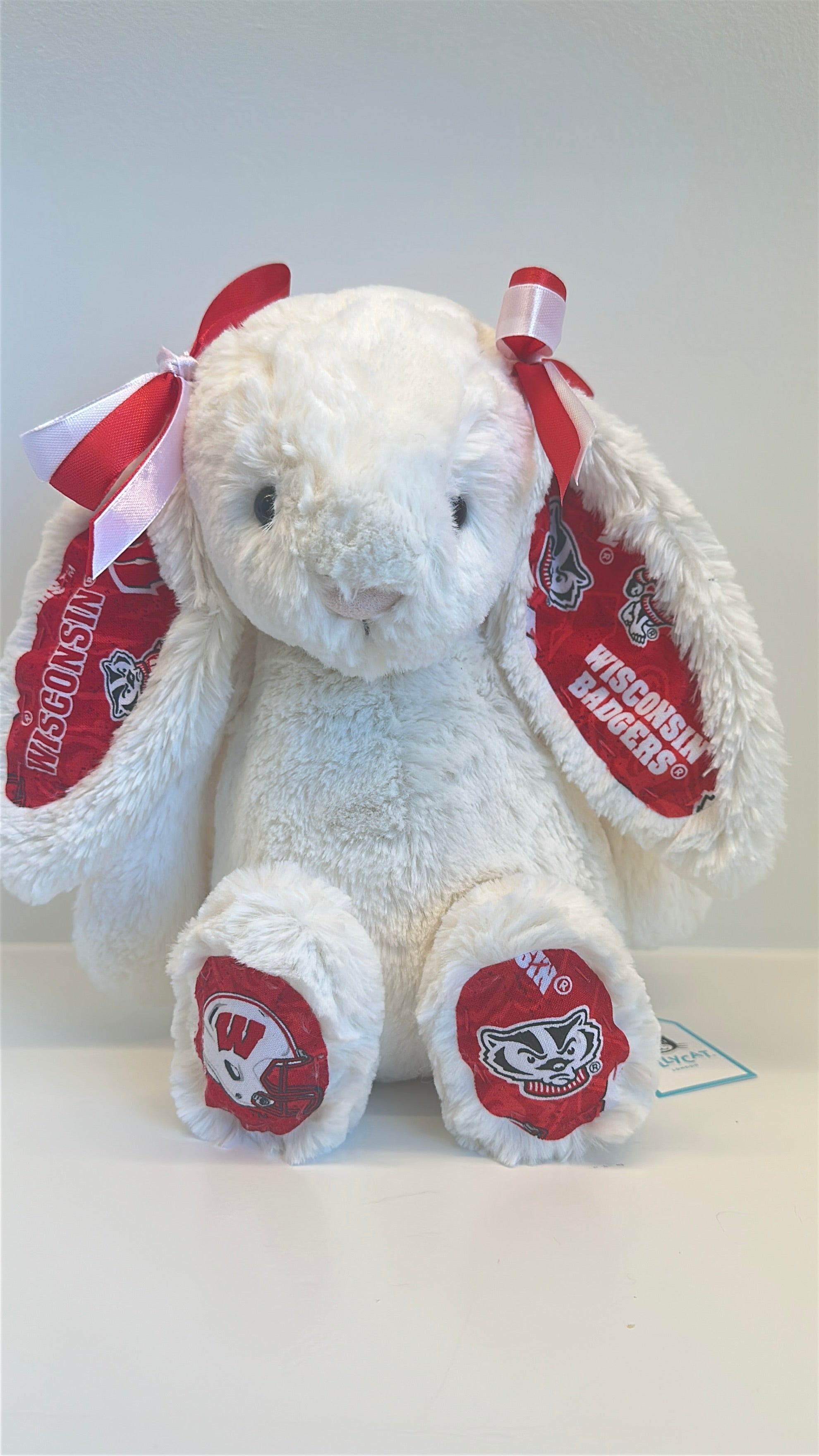 University of Wisconsin Custom College Jellycat Bashful Bunny