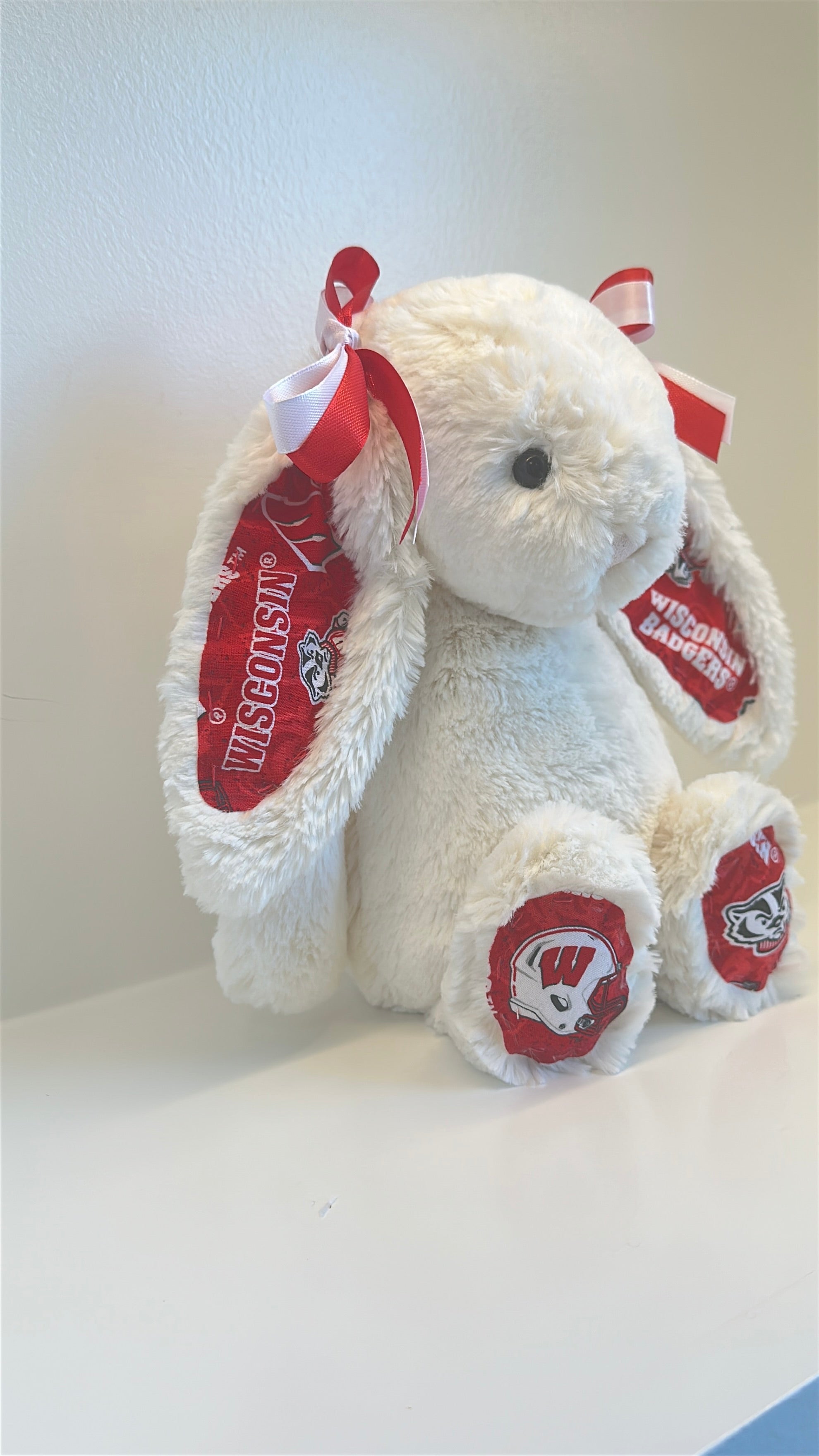 University of Wisconsin Custom College Jellycat Bashful Bunny