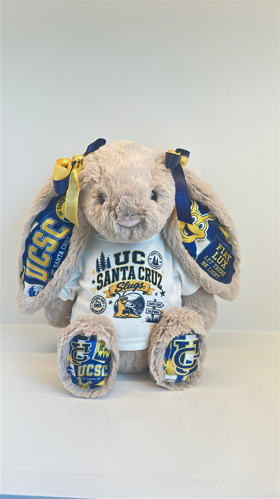 University of California Santa Cruz (UCSC)  Fully Custom College Jellycat Bunny