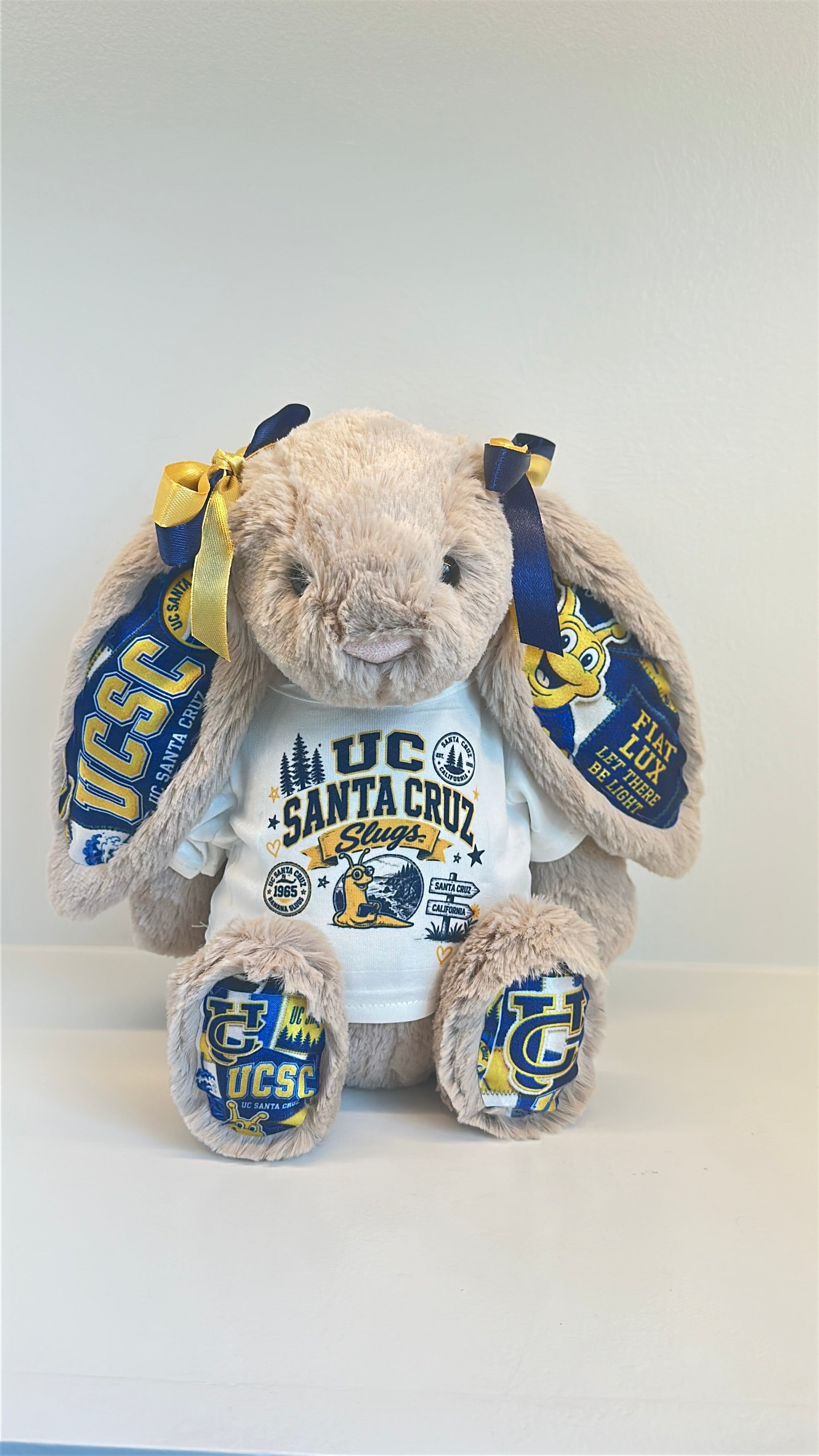 University of California Santa Cruz (UCSC)  Fully Custom College Jellycat Bunny