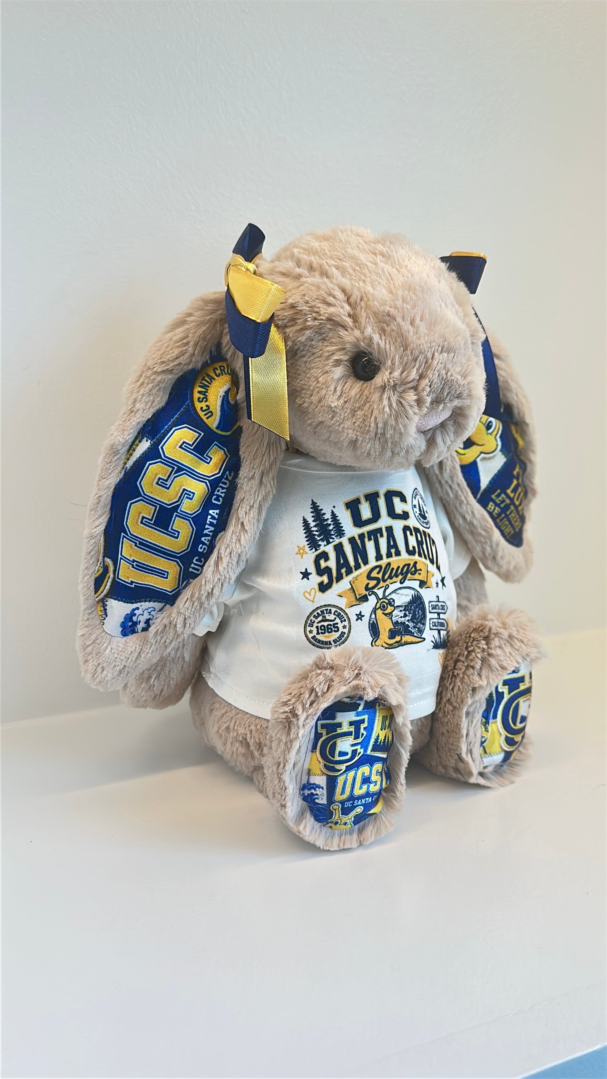 University of California Santa Cruz (UCSC)  Fully Custom College Jellycat Bunny
