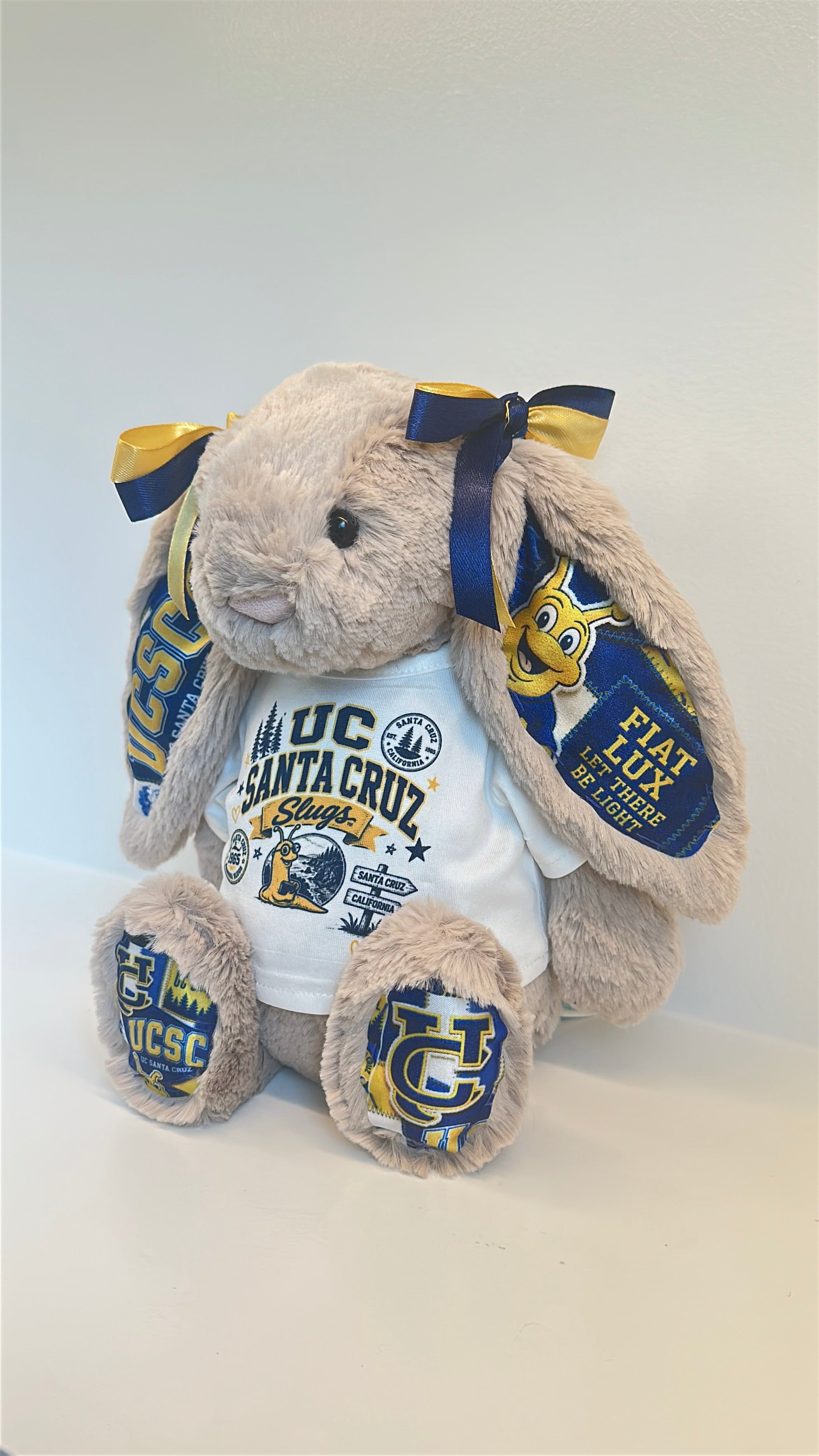 University of California Santa Cruz (UCSC)  Fully Custom College Jellycat Bunny