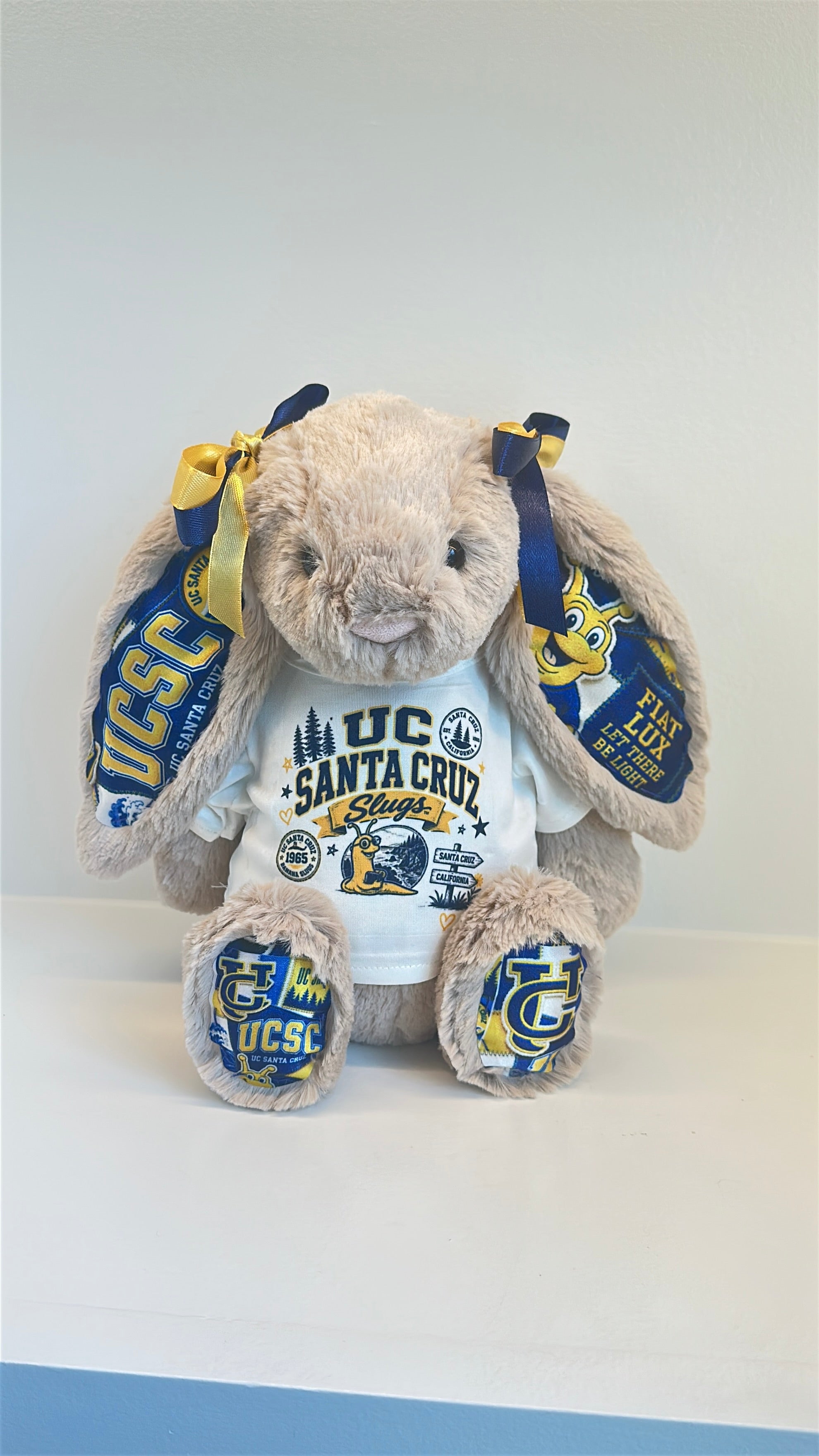 University of California Santa Cruz (UCSC)  Fully Custom College Jellycat Bunny