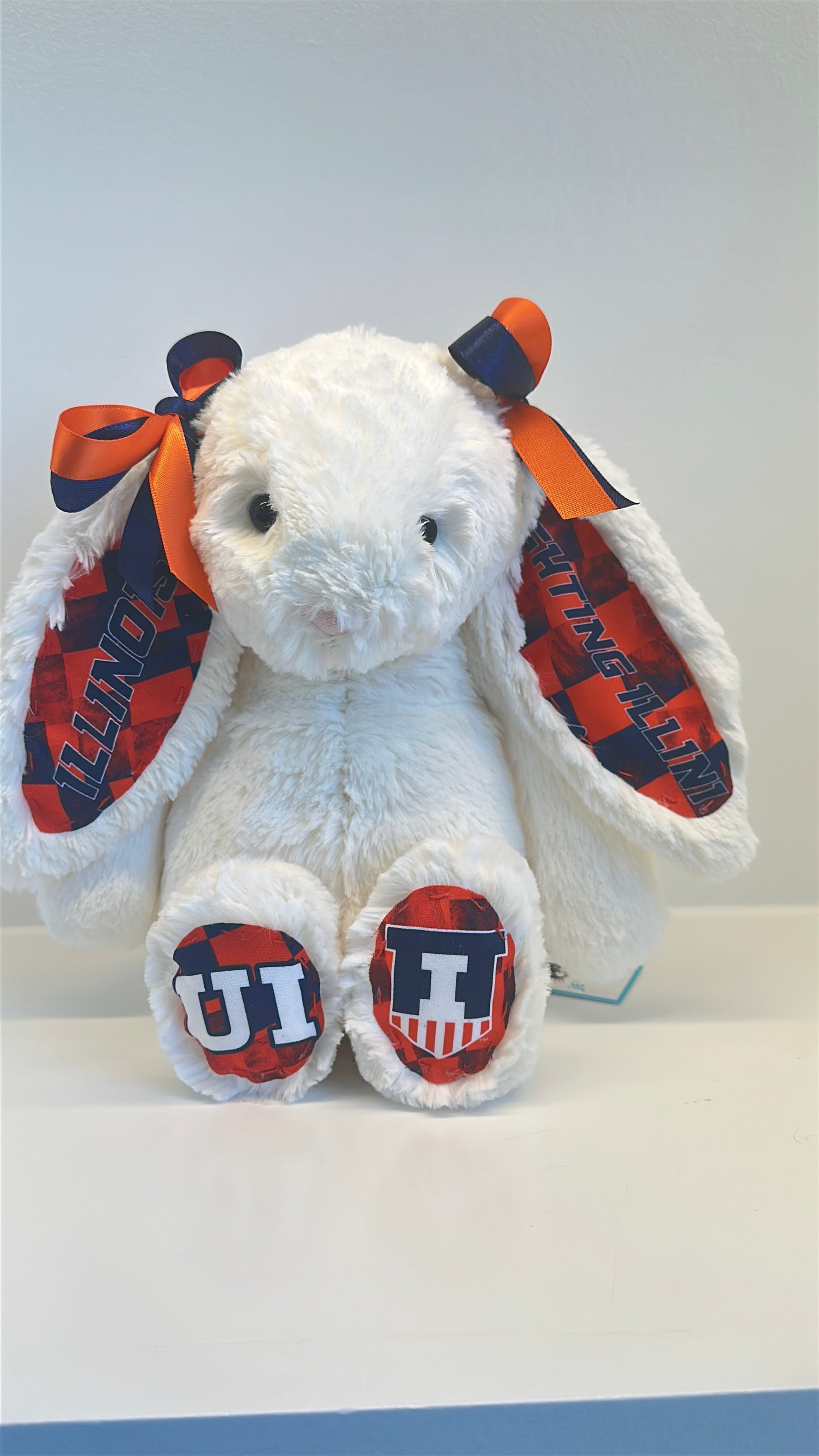 University of Illinois Custom College Jellycat Bashful Bunny