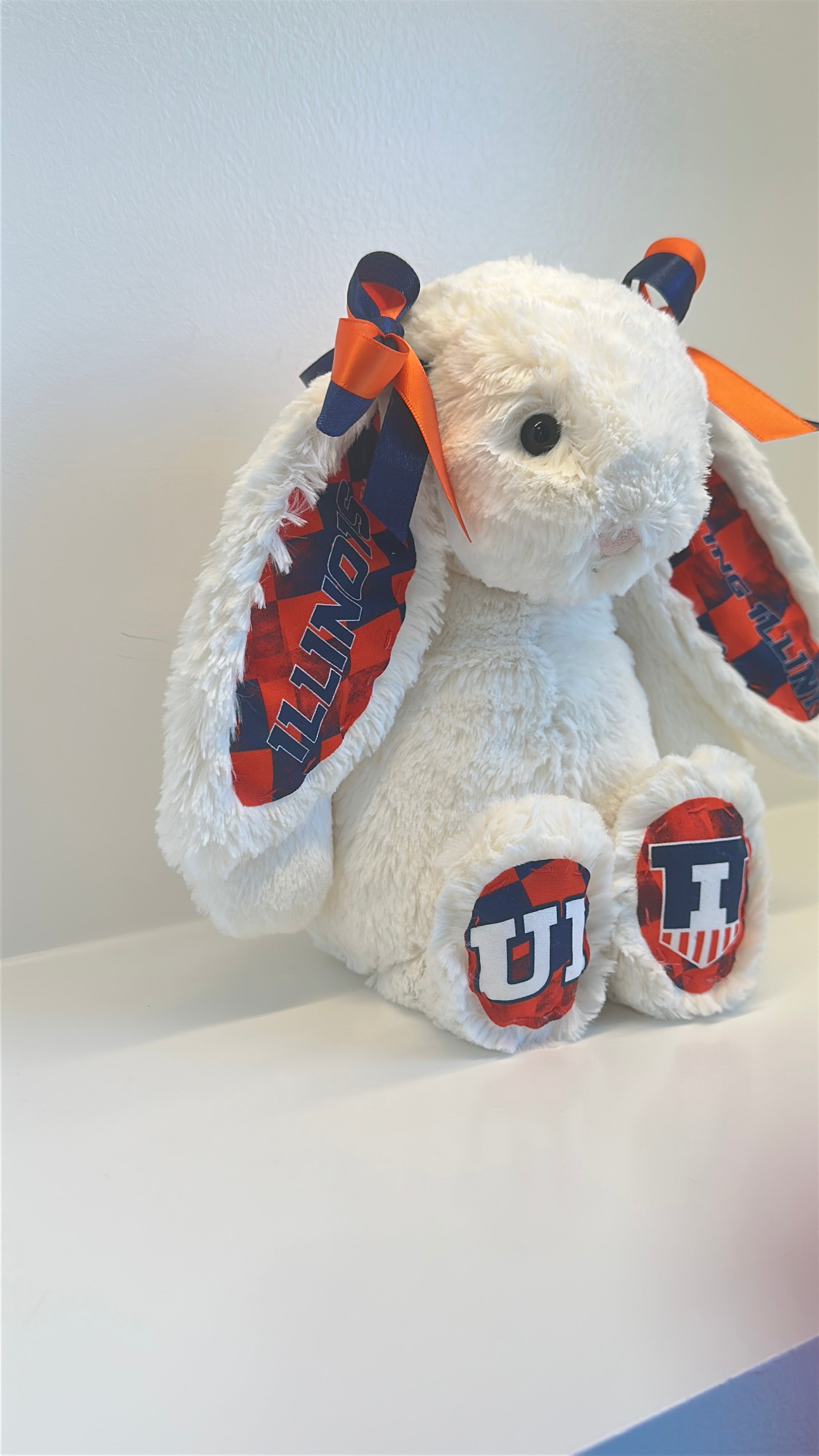 University of Illinois Custom College Jellycat Bashful Bunny