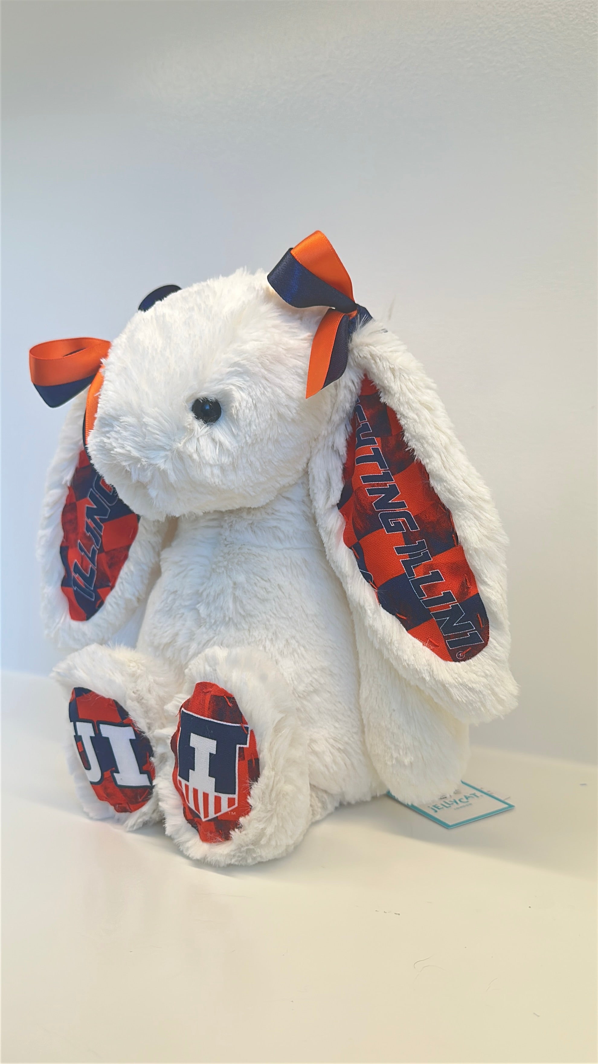 University of Illinois Custom College Jellycat Bashful Bunny