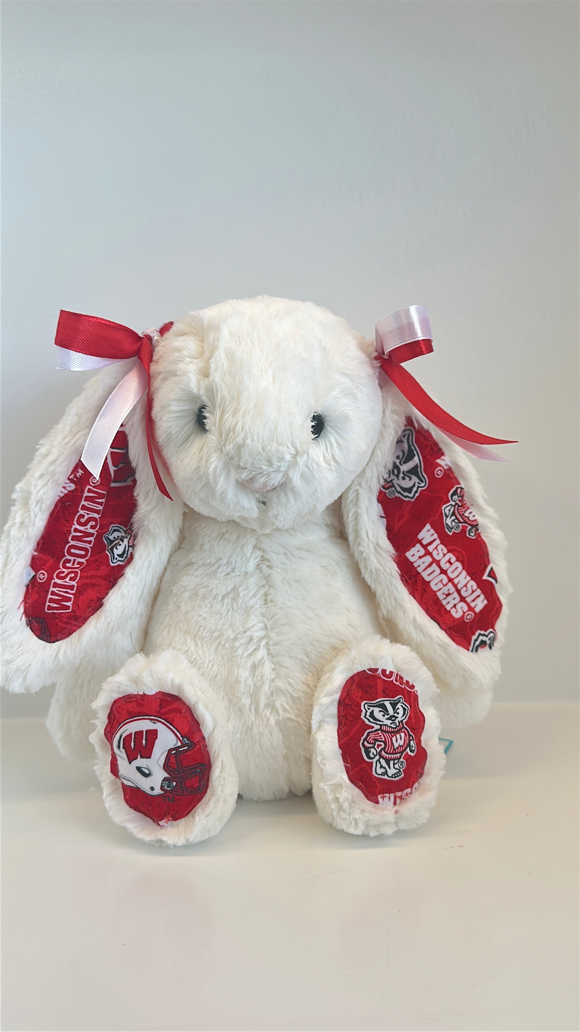 University of Wisconsin Custom College Jellycat Bashful Bunny