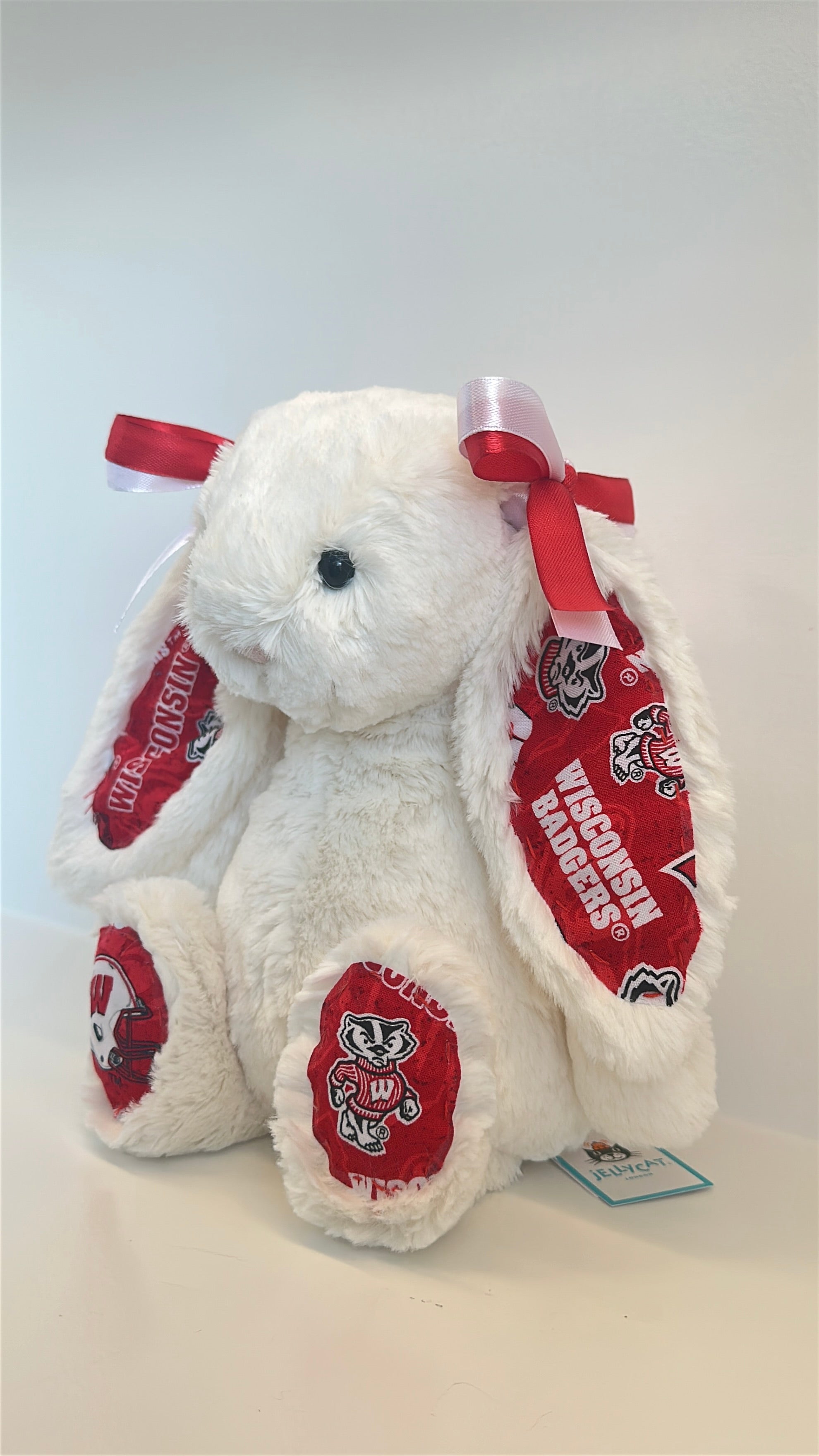 University of Wisconsin Custom College Jellycat Bashful Bunny
