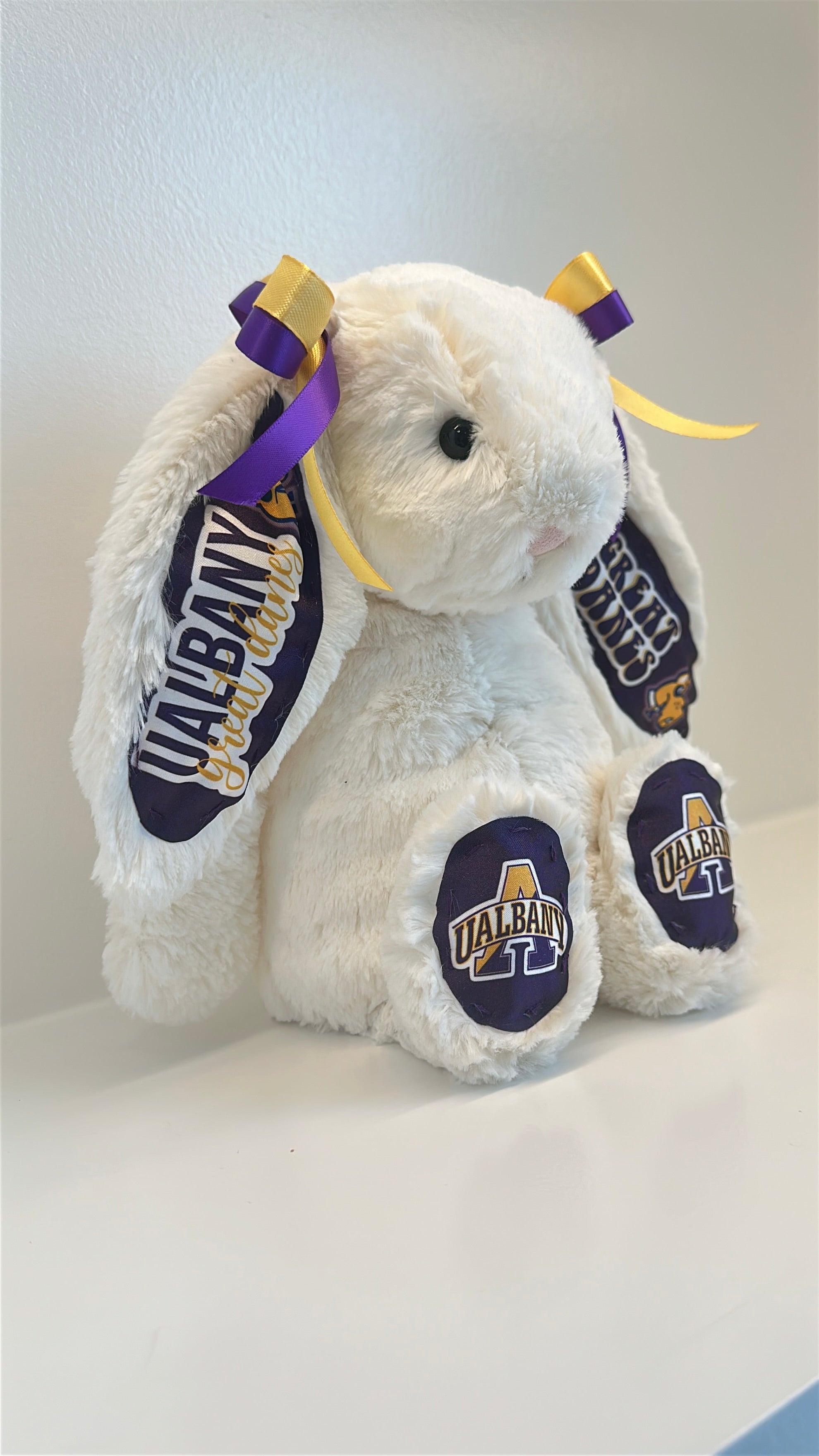 University at Albany Custom College Jellycat Bashful Bunny