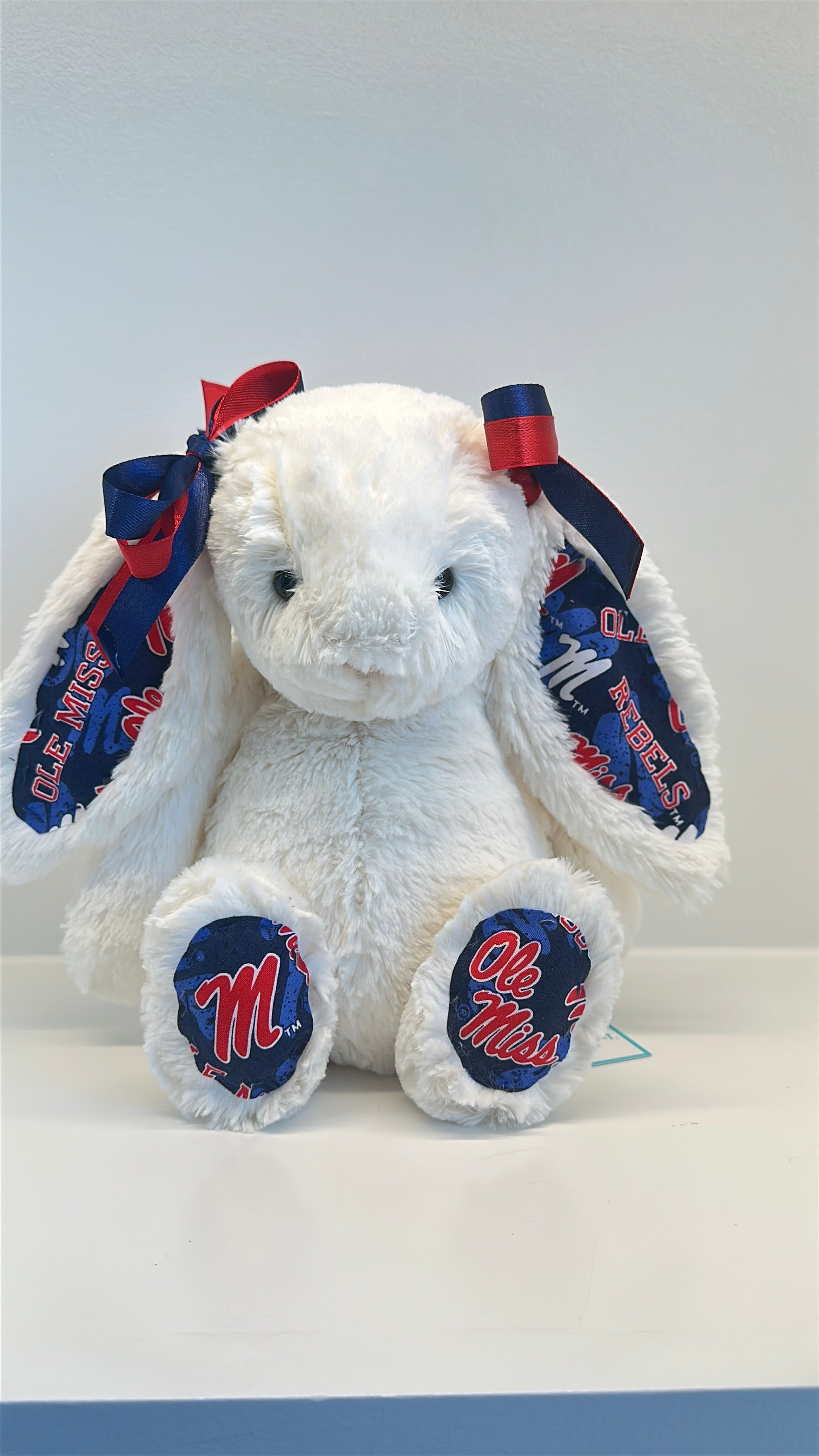 University of Mississippi (Ole Miss) Custom College Jellycat Bashful Bunny