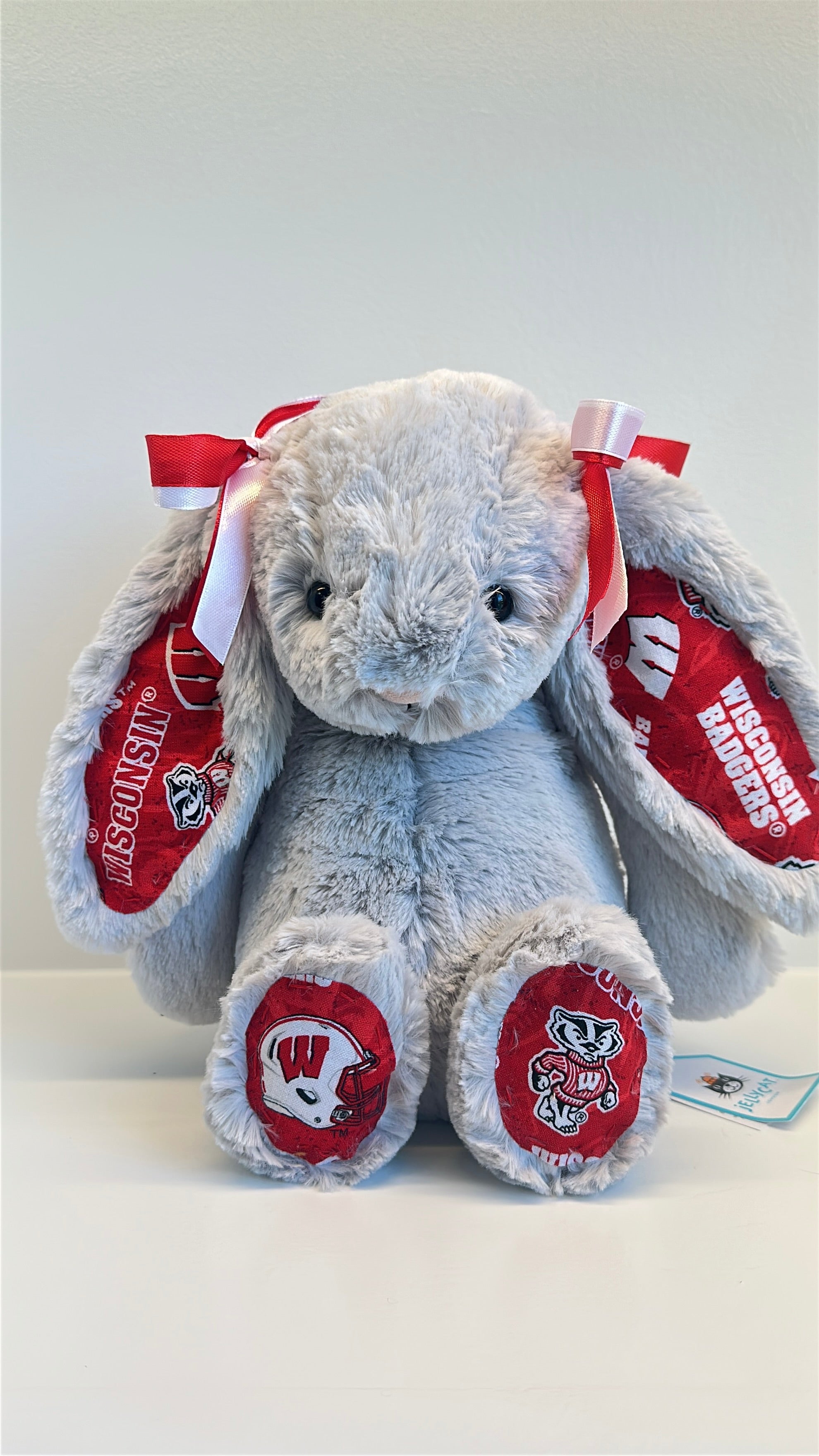 University of Wisconsin Custom College Jellycat Bashful Bunny