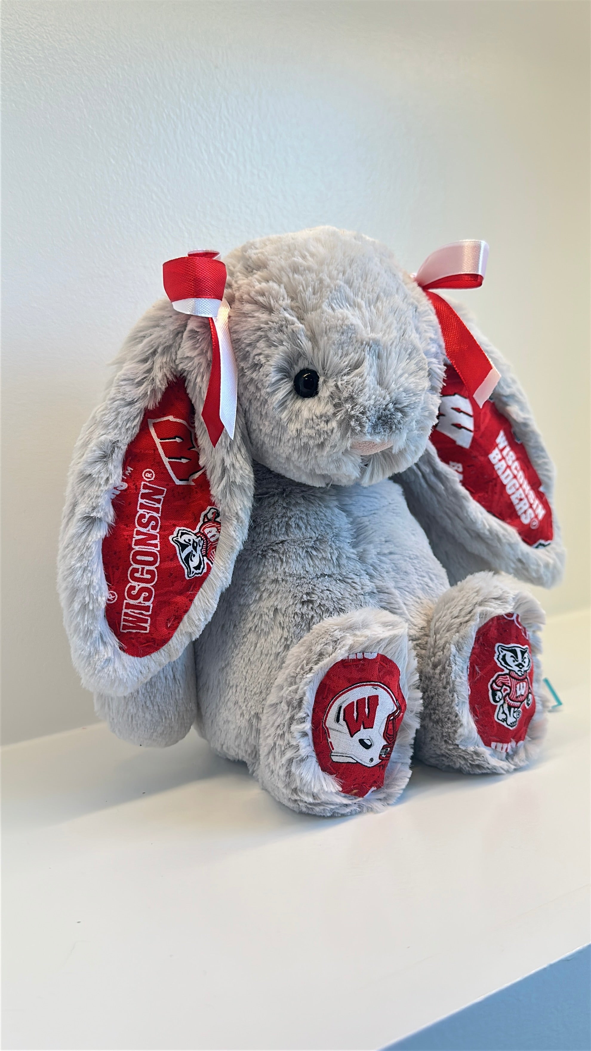 University of Wisconsin Custom College Jellycat Bashful Bunny