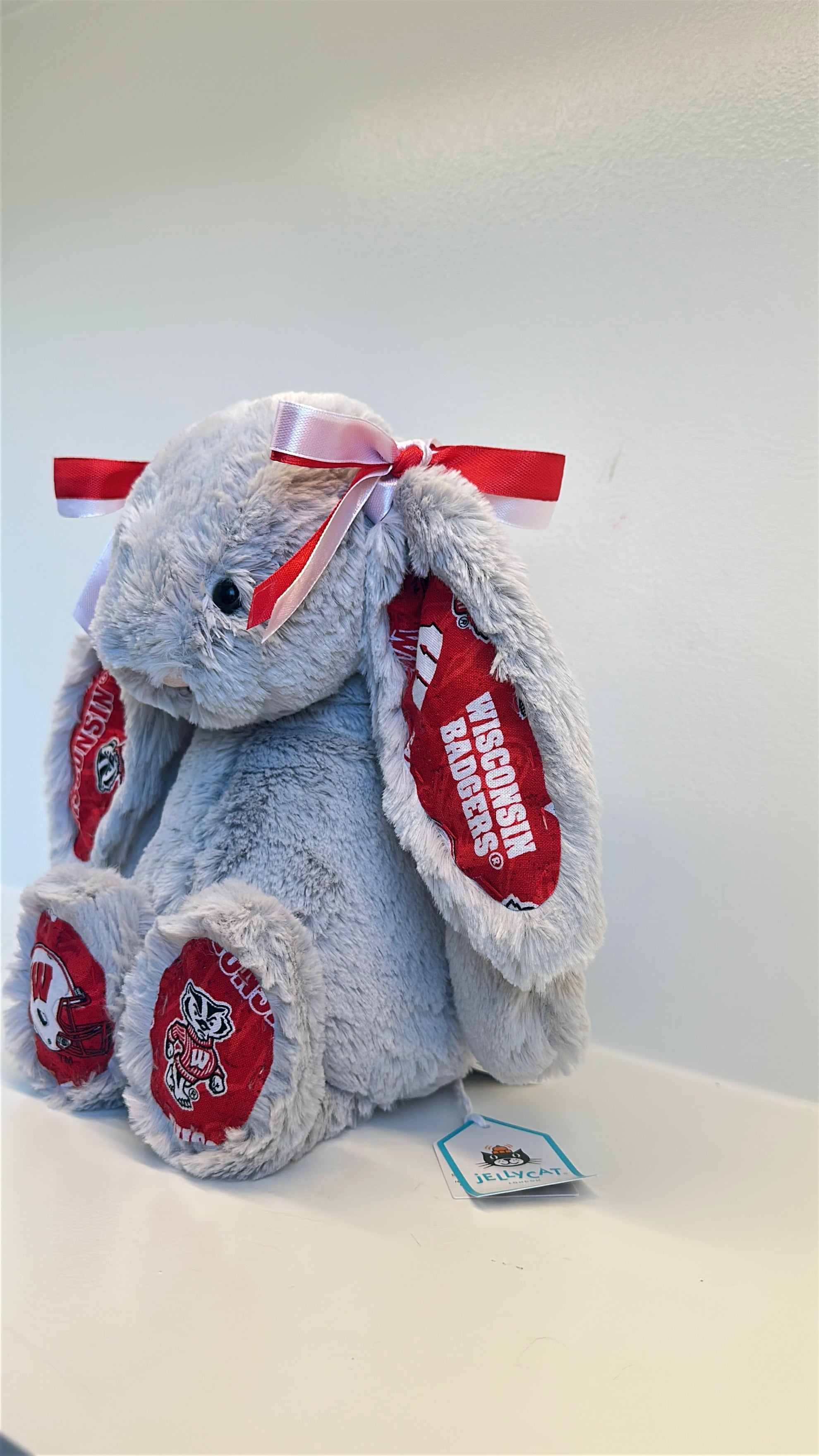 University of Wisconsin Custom College Jellycat Bashful Bunny
