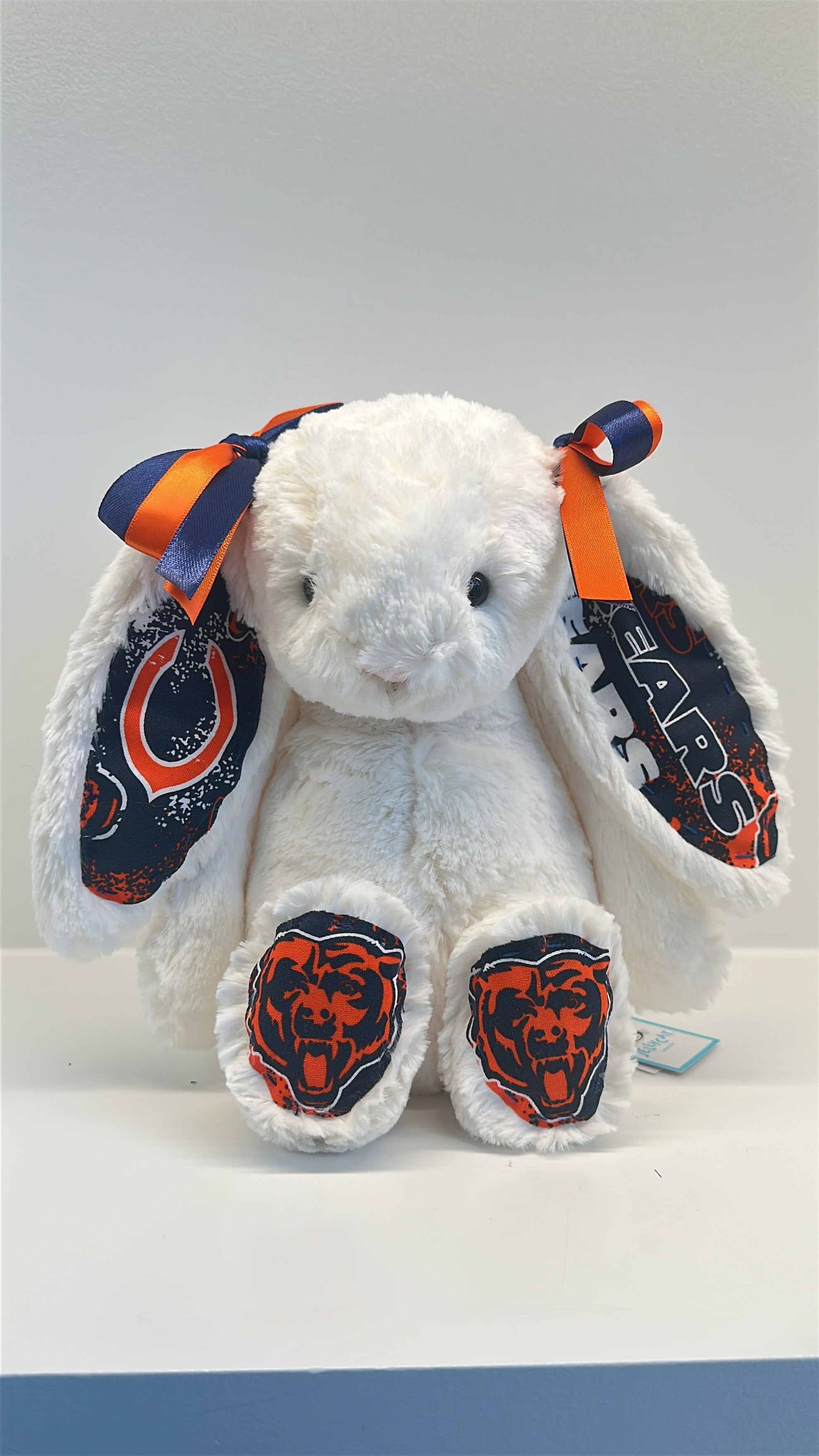 Custom Professional Sports Team Jellycat Bunny (NBA, NFL, NHL, MLB)